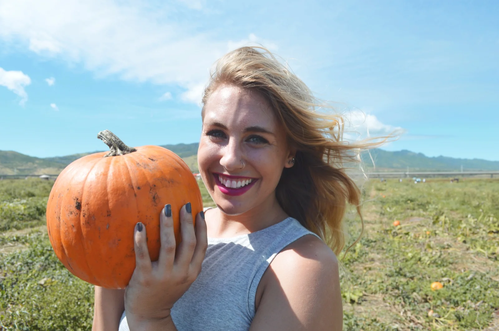 Aloun Farms: Pumpkin Patch