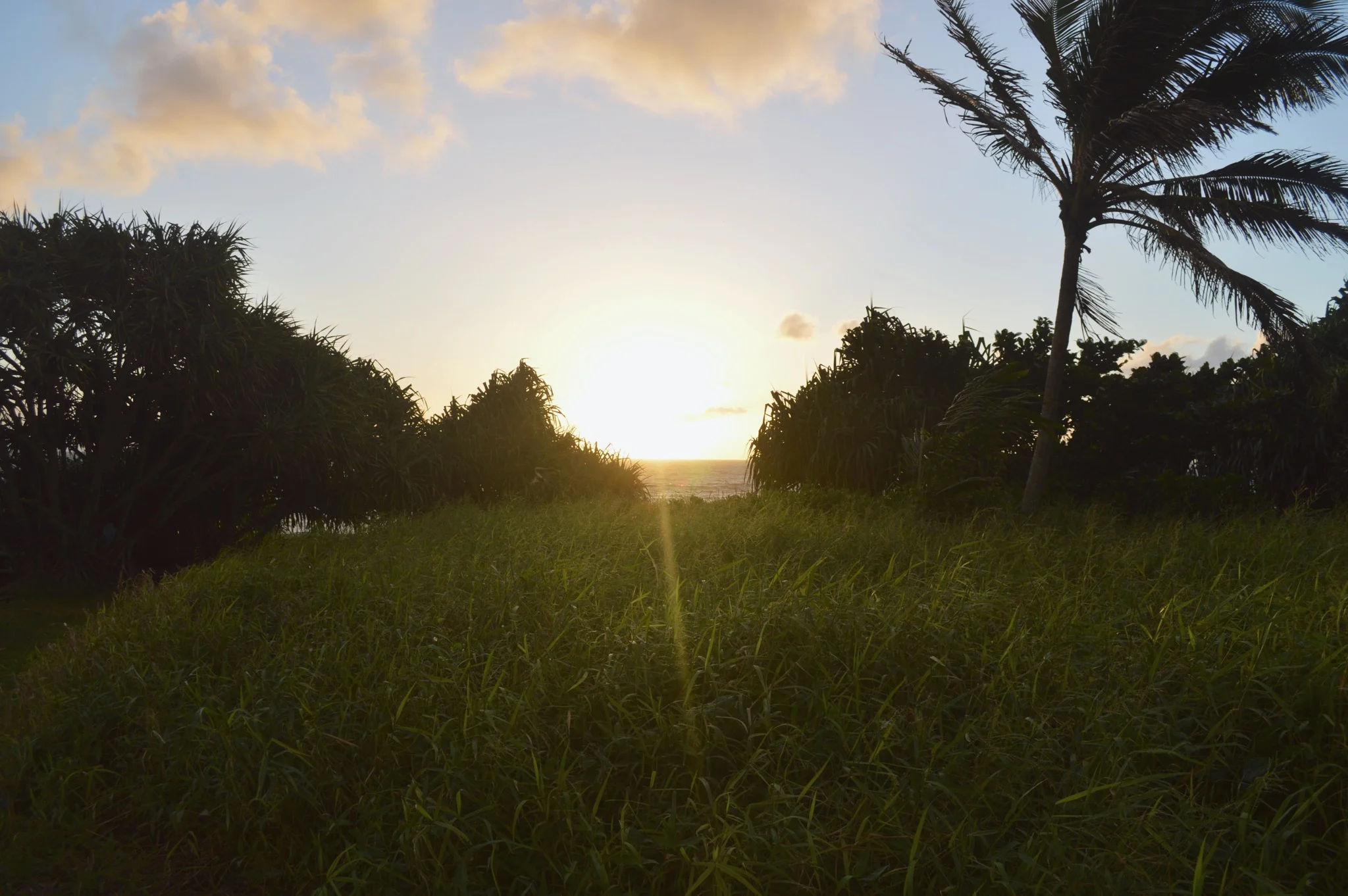 Camping at Haleakala