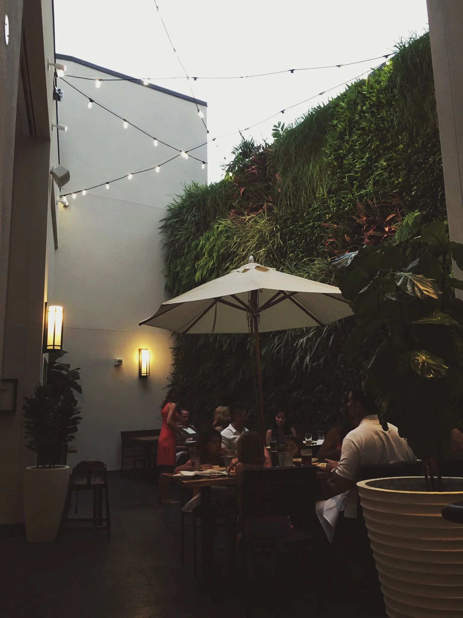 Valentine's Day 2016 + Salt Water Vibes