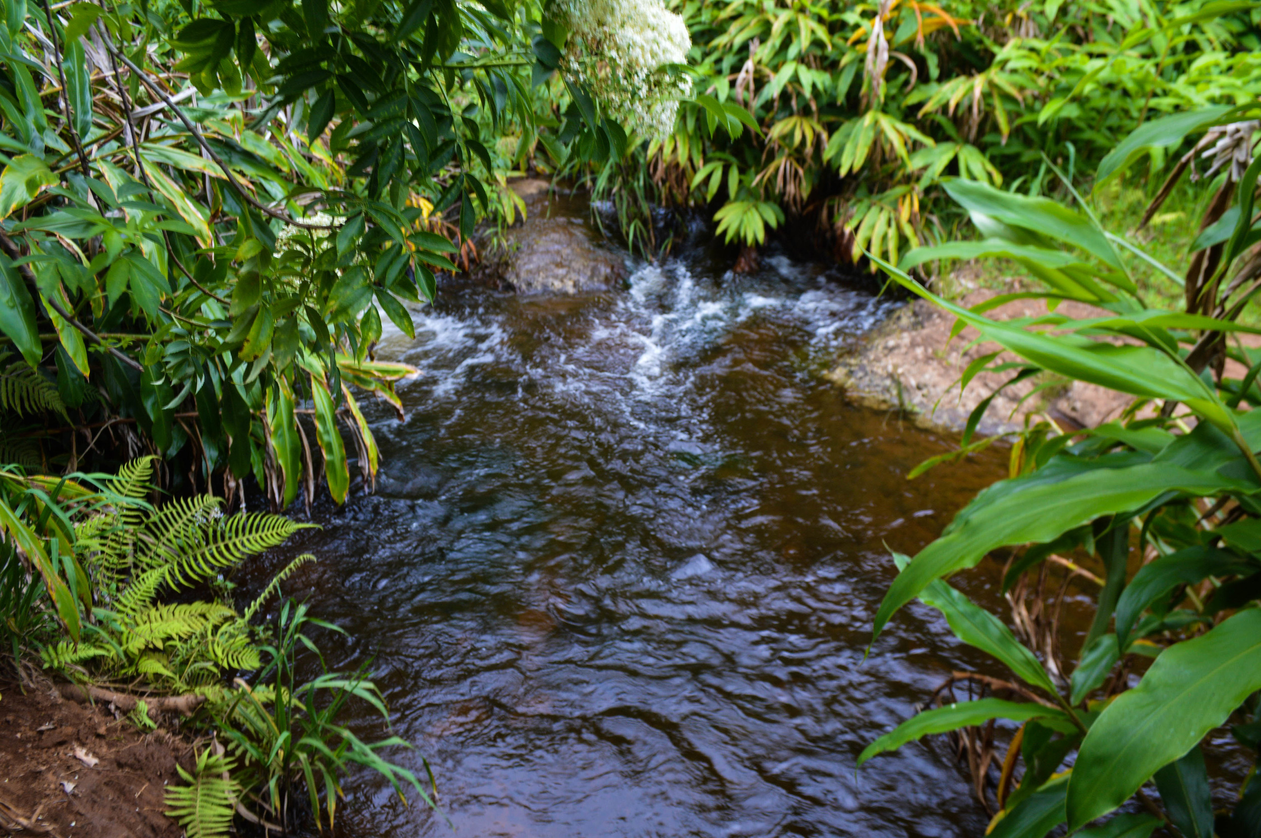 Waipoo Falls + SaltWaterVibes