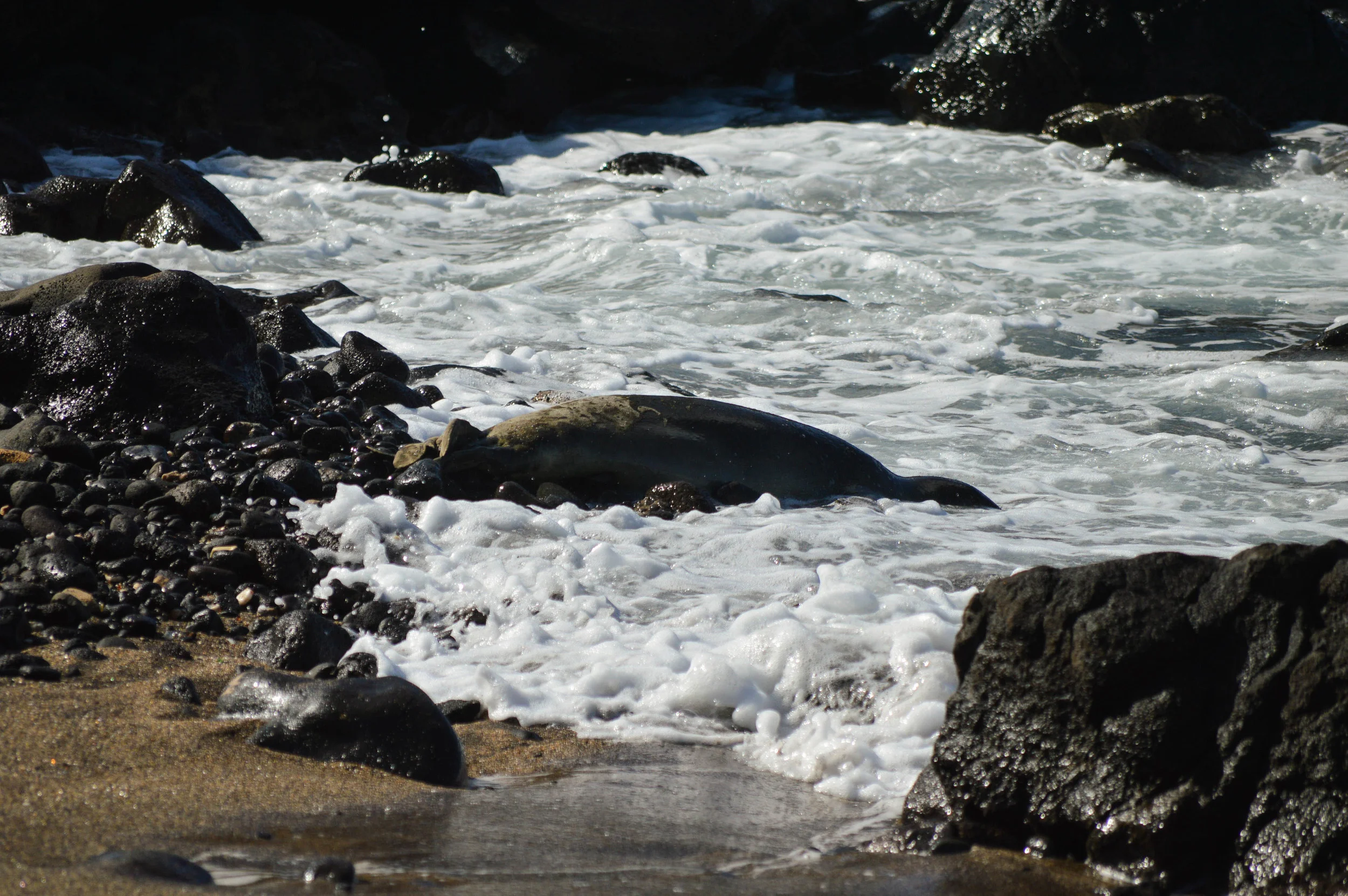 Sea Glass Beach + SaltWaterVibes