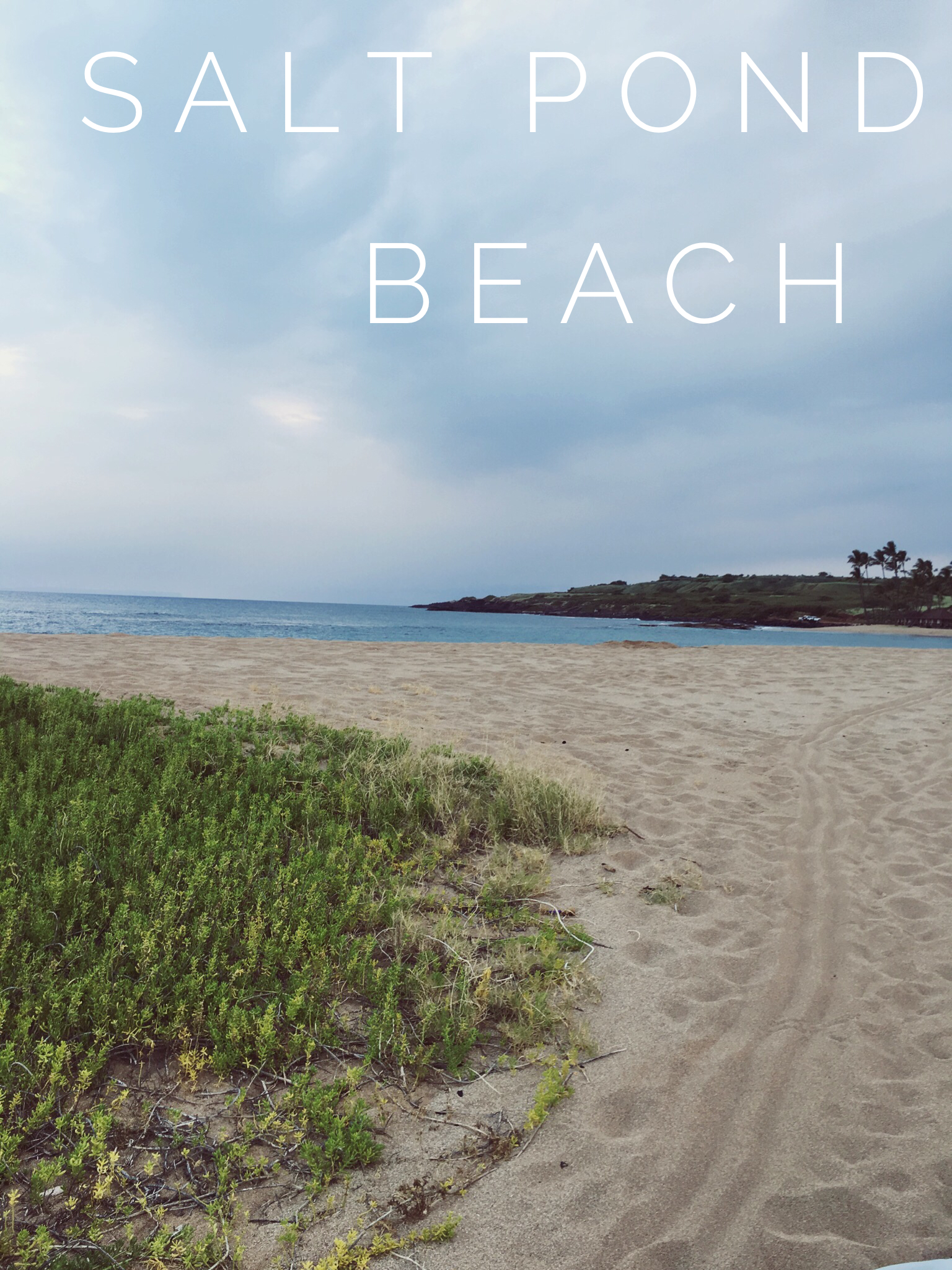 Salt Pond Beach + SaltWaterVibes