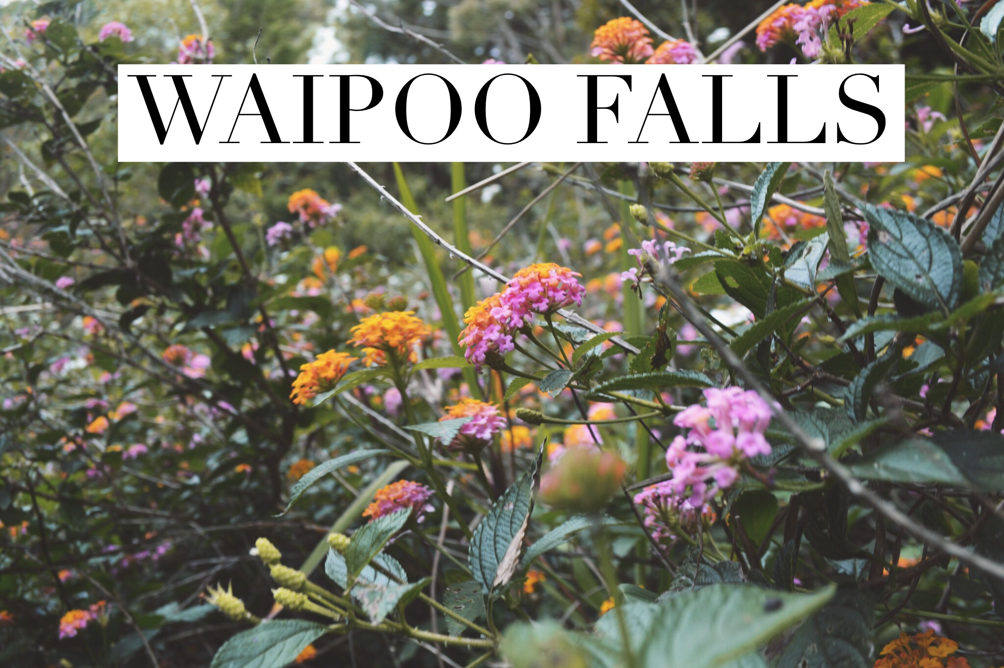 Waipoo Falls + SaltWaterVibes