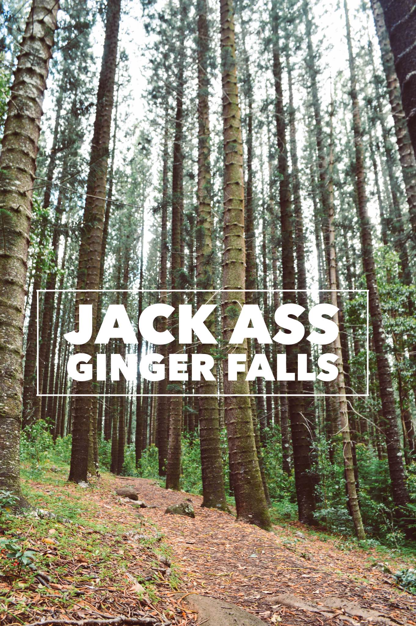 Jack Ass Ginger Falls + SaltWaterVibes