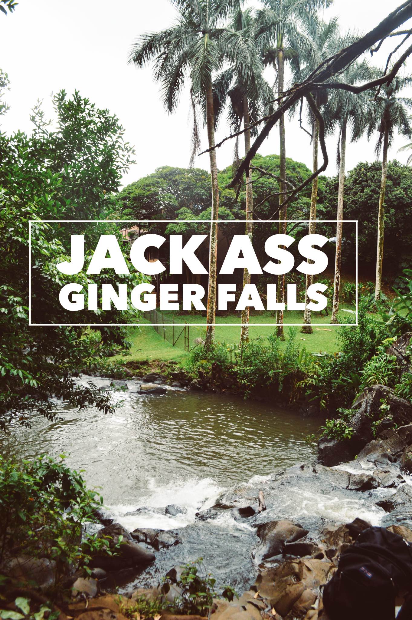 Jack Ass Ginger Falls + SaltWaterVibes