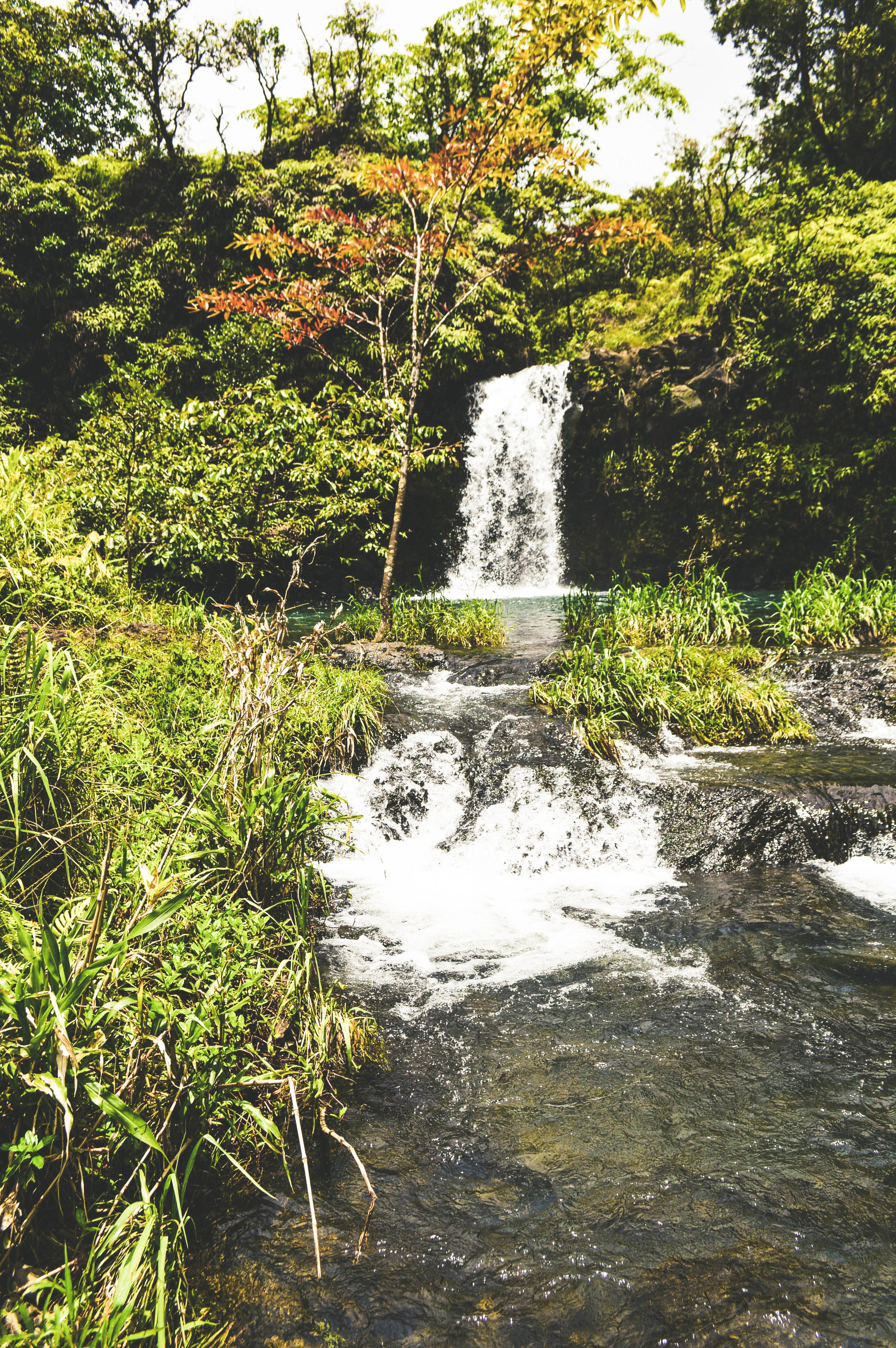 Road to Hana + SaltWaterVibes