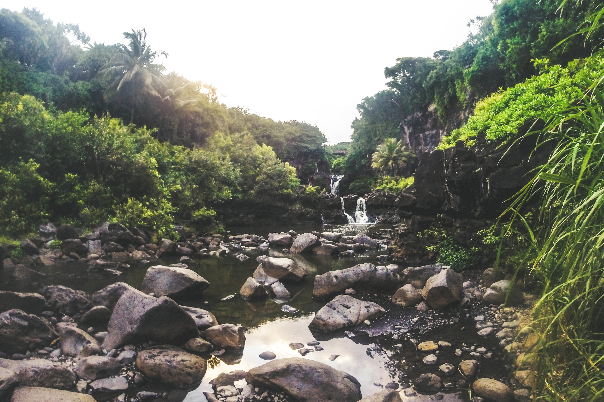 Road to Hana + SaltWaterVibes