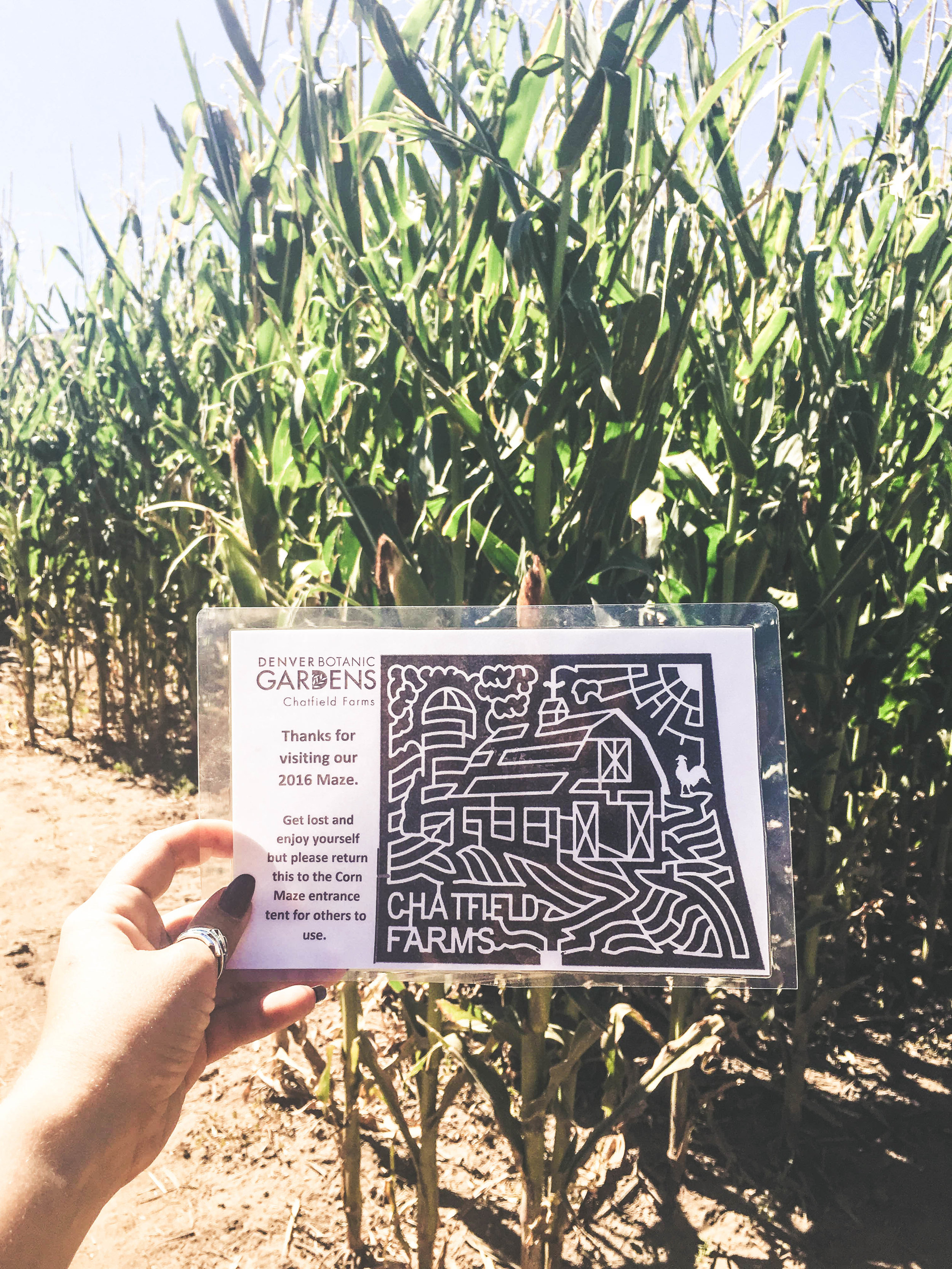 Chatfield Farms Corn Maze Blog Salt Water Vibes