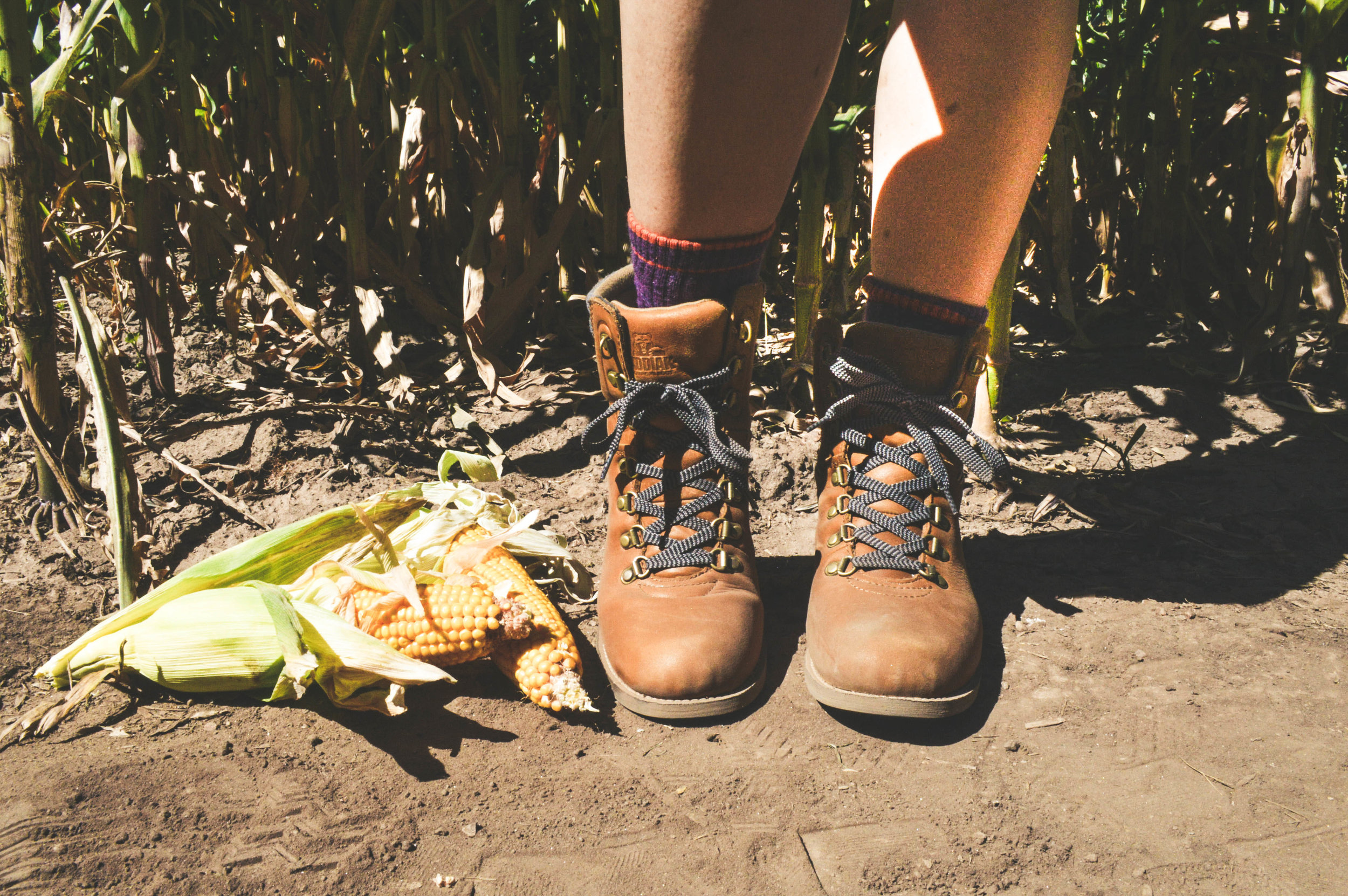 Chatfield Farms Corn Maze + SaltWaterVibes