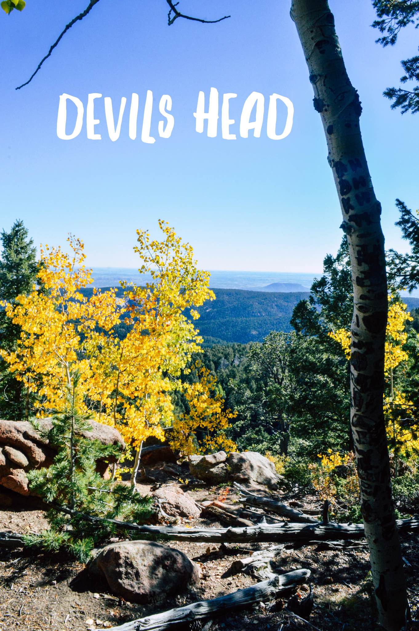 Devils Head + SaltWaterVibes