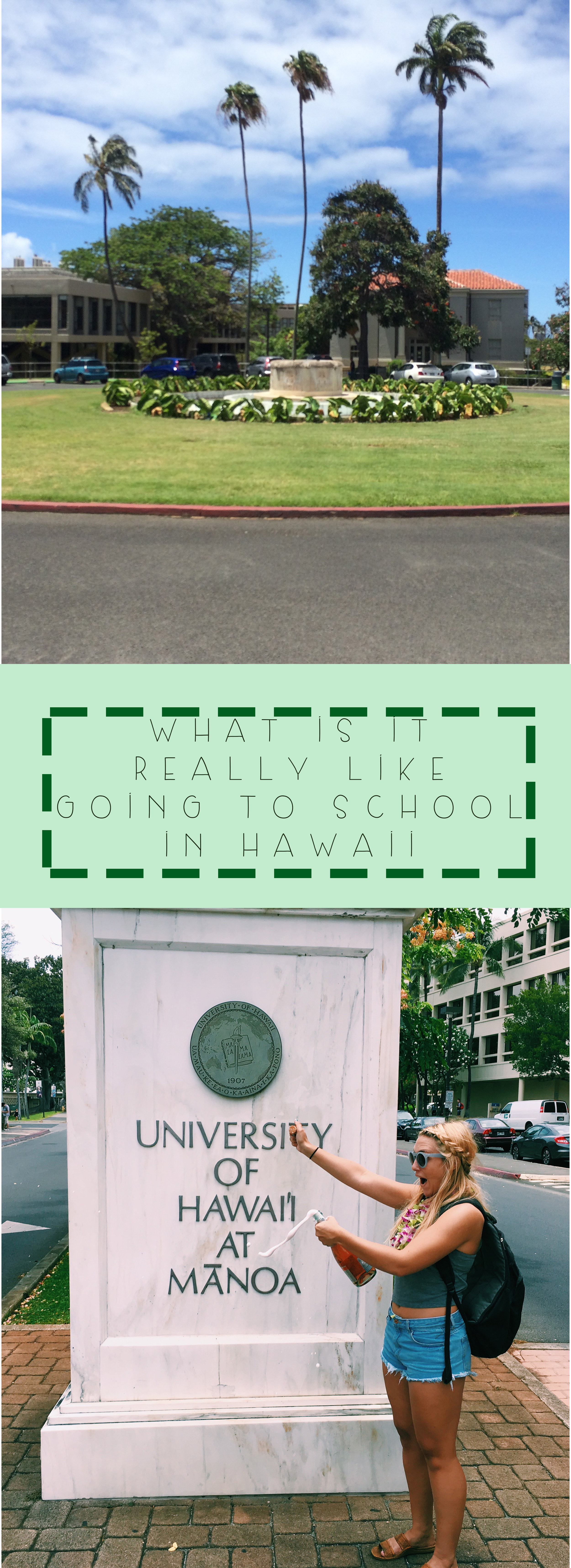 The University of Hawaii + SaltWaterVibes
