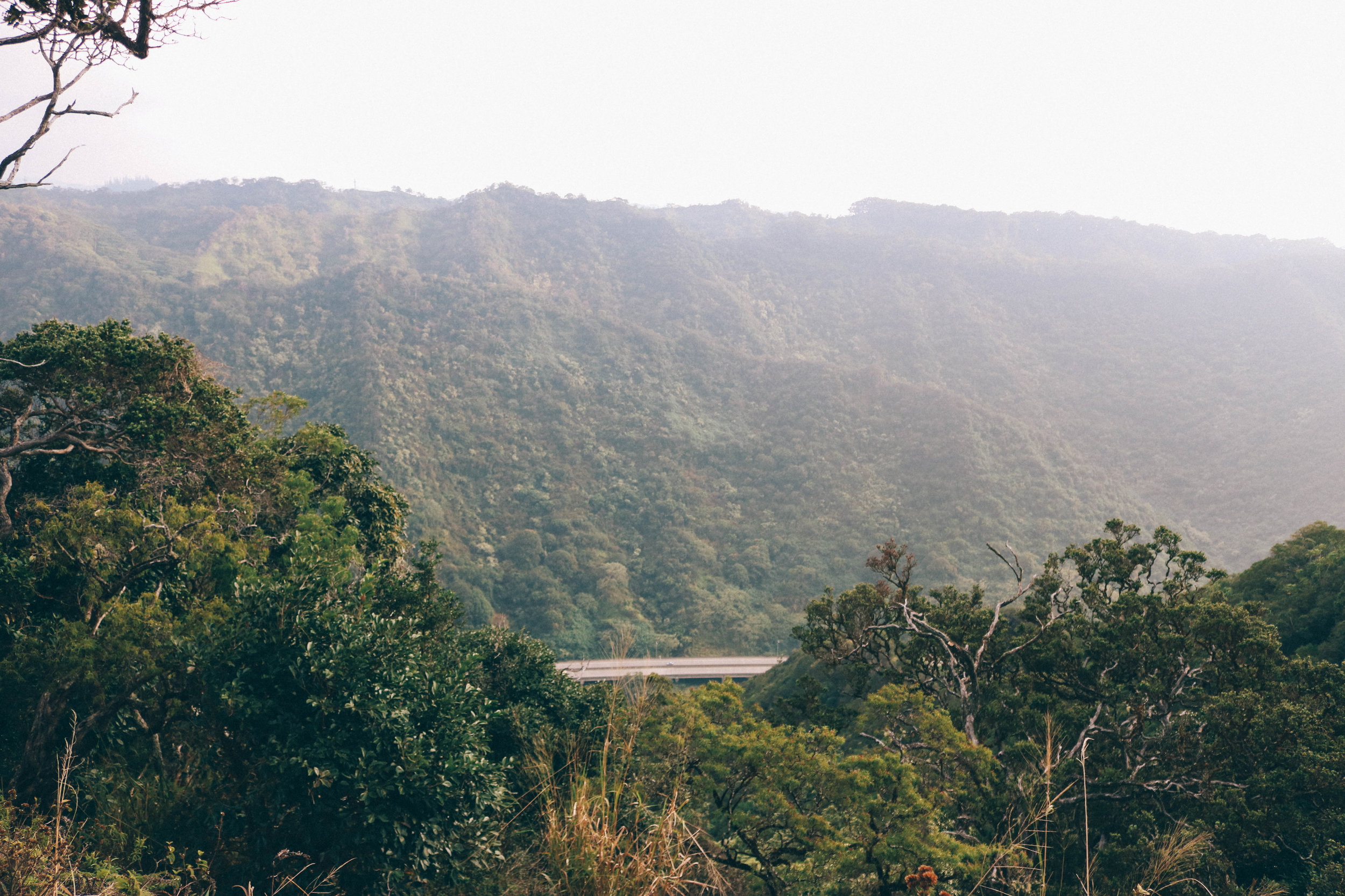 Aiea Loop Trail + SaltWaterVibes