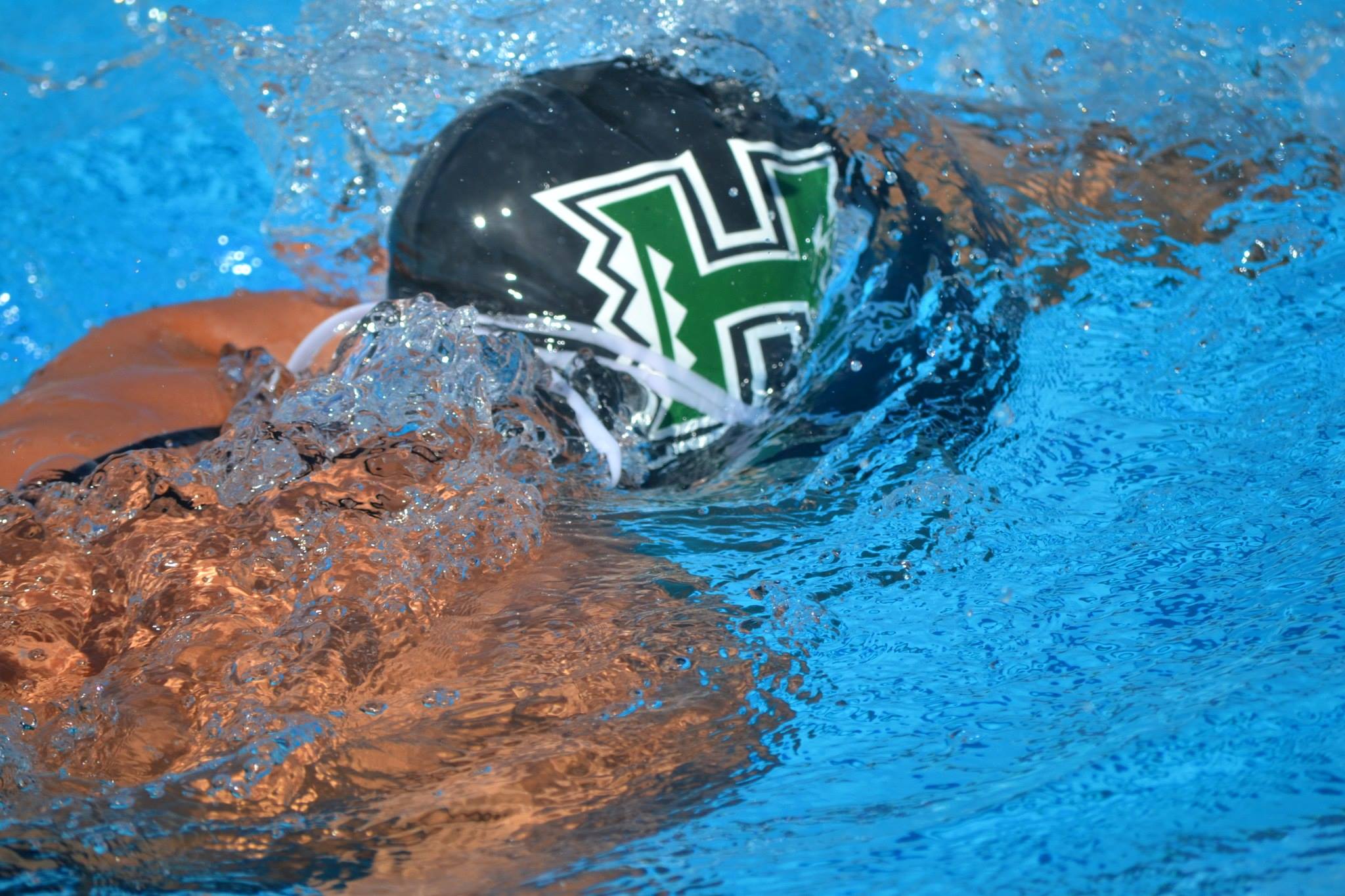 Everything You Need to Know About University of Hawaii at Manoa + SaltWaterVibes
