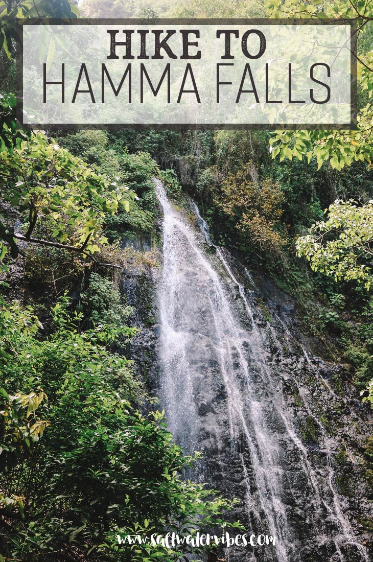 Hike to Hamama Falls + SaltWaterVibes