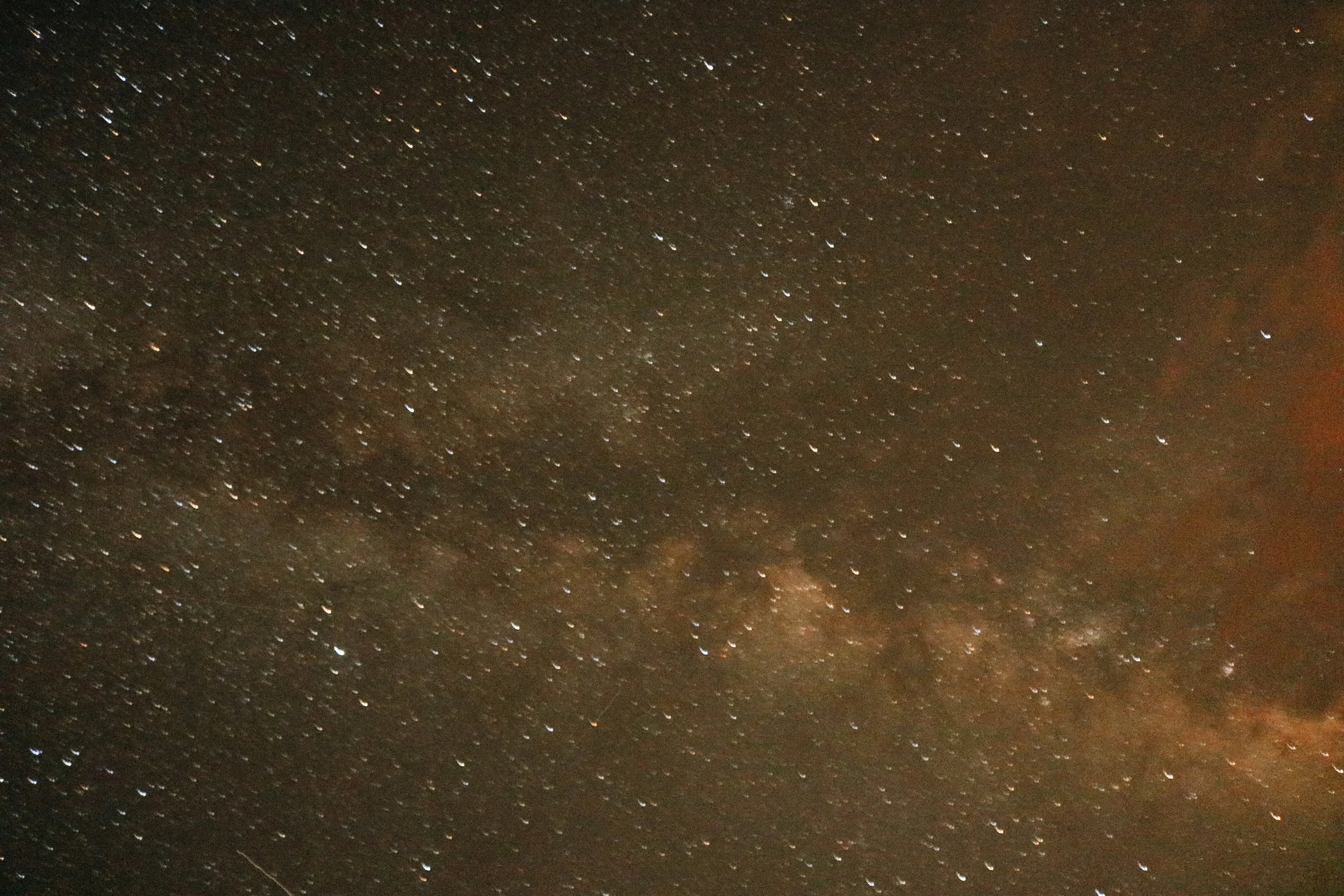 IMG_1341.jpg