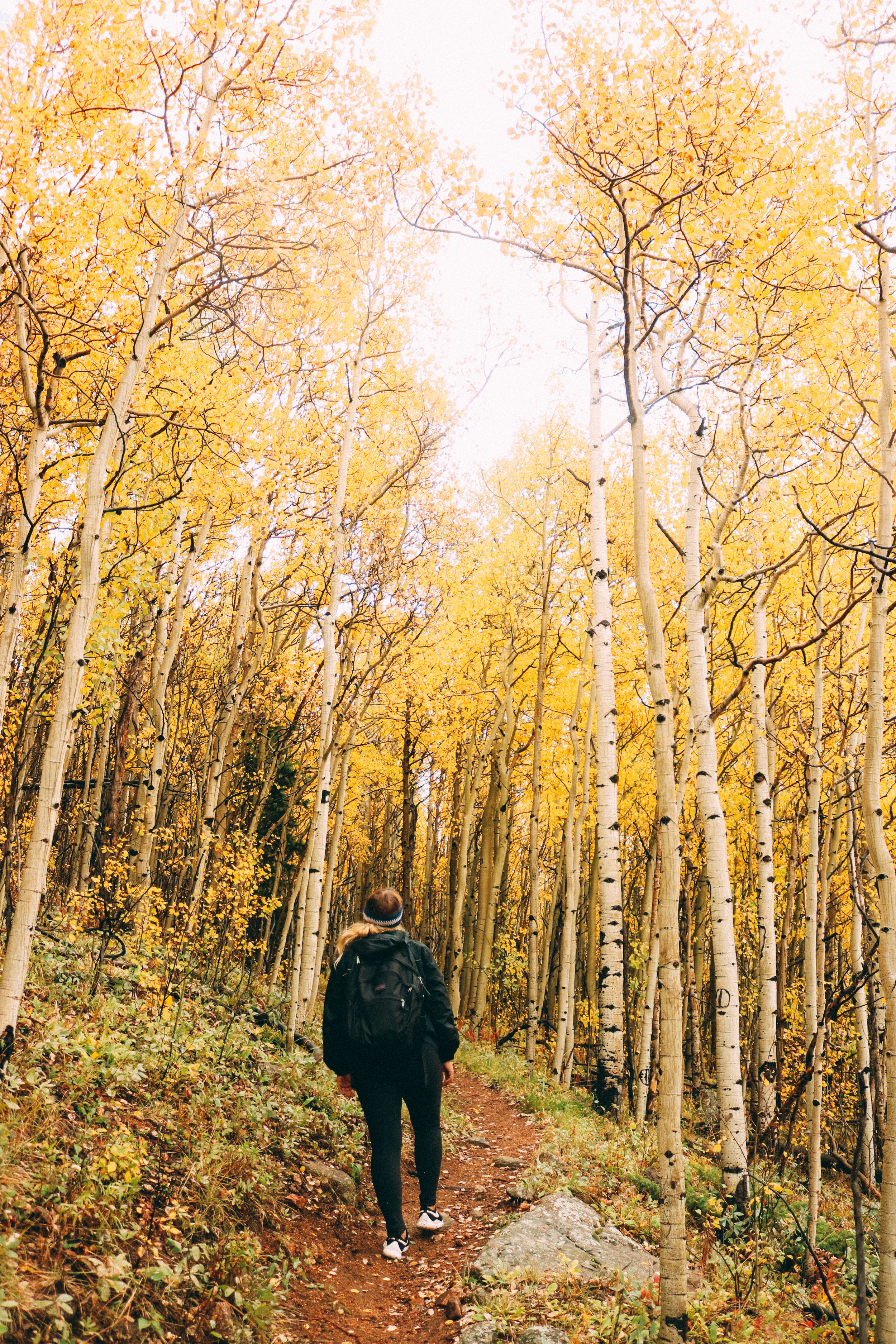 Where to See Golden Aspens in Colorado + SaltWaterVibes
