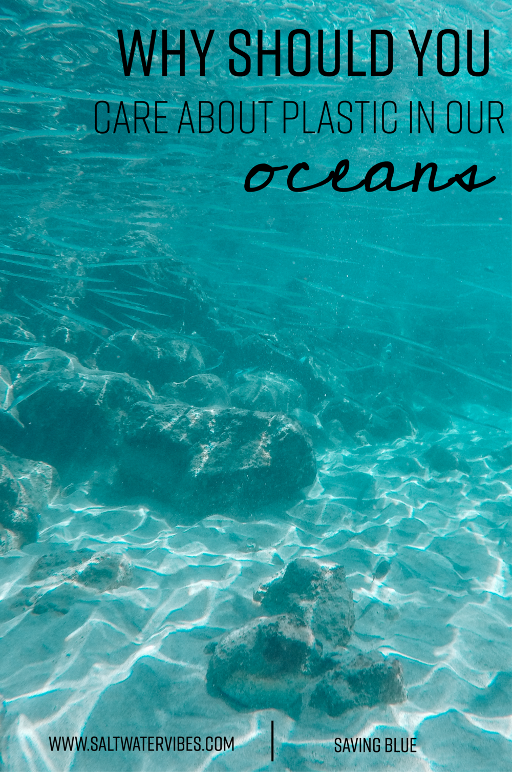 Ocean 2 pin-01.png