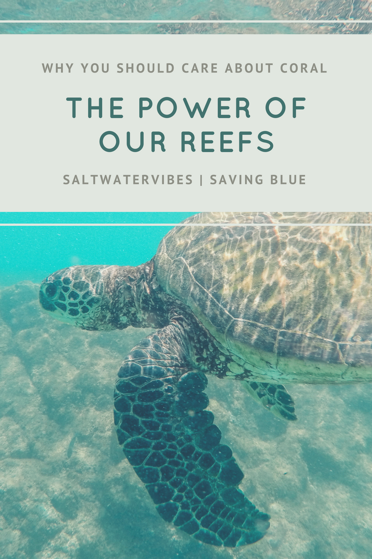 Caring: Coral Reefs + SaltWaterVibes