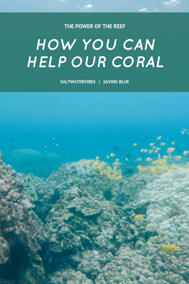 Change: Help Our Coral Reefs + SaltWaterVibes