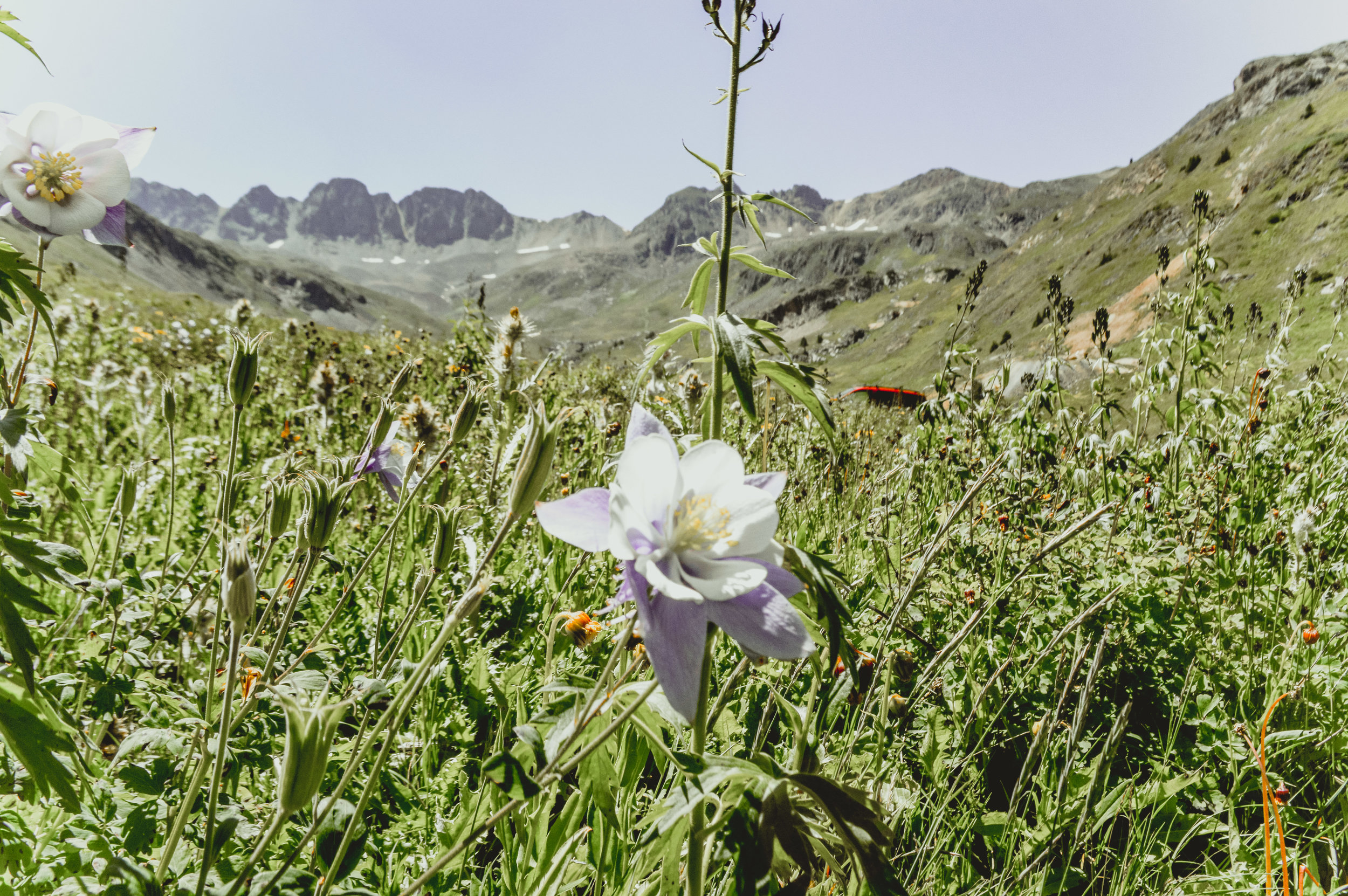 Colorado Adventures + SaltWaterVibes