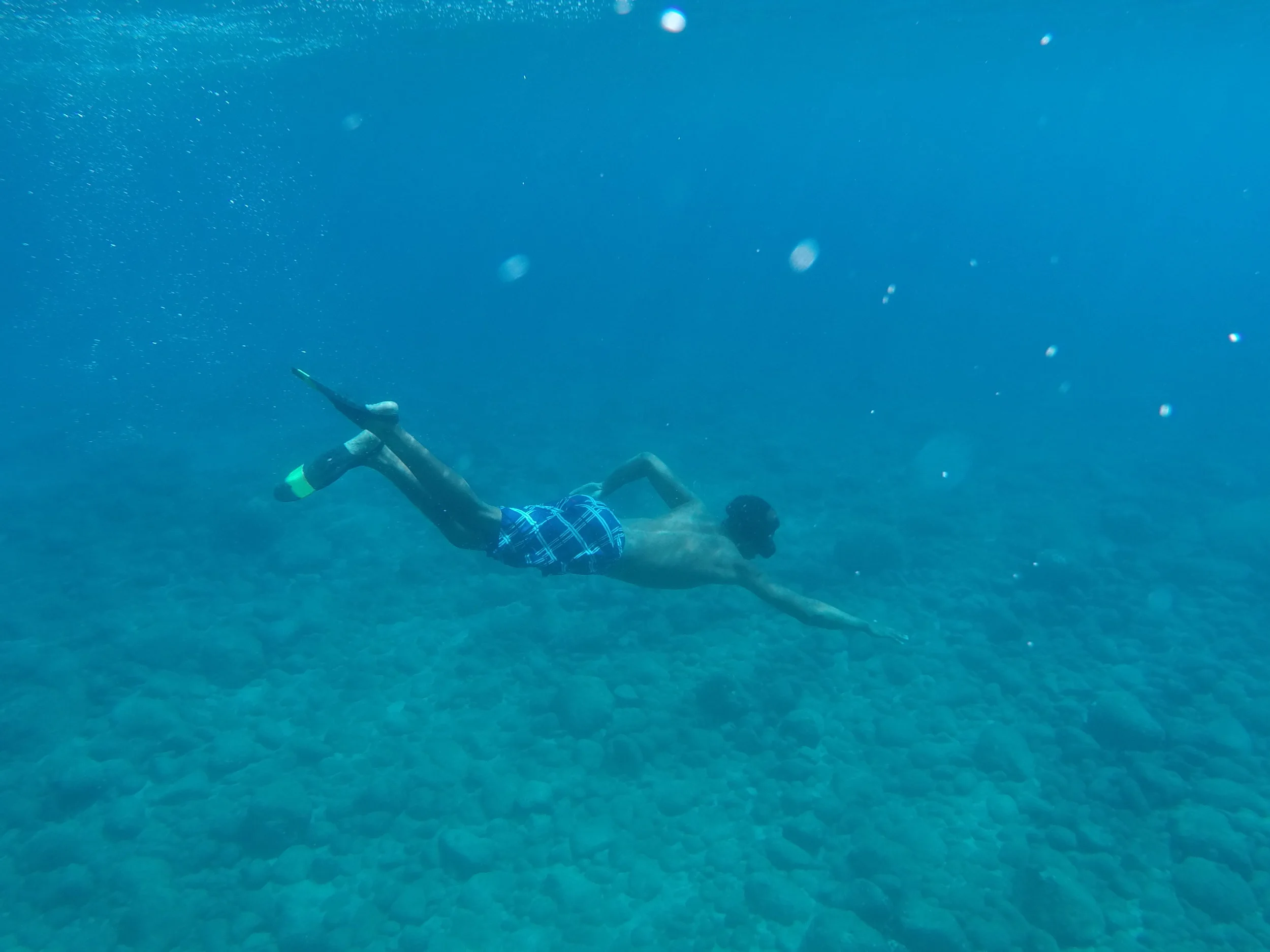 Caring: 5 Things you Can Do to Save The Ocean Today 