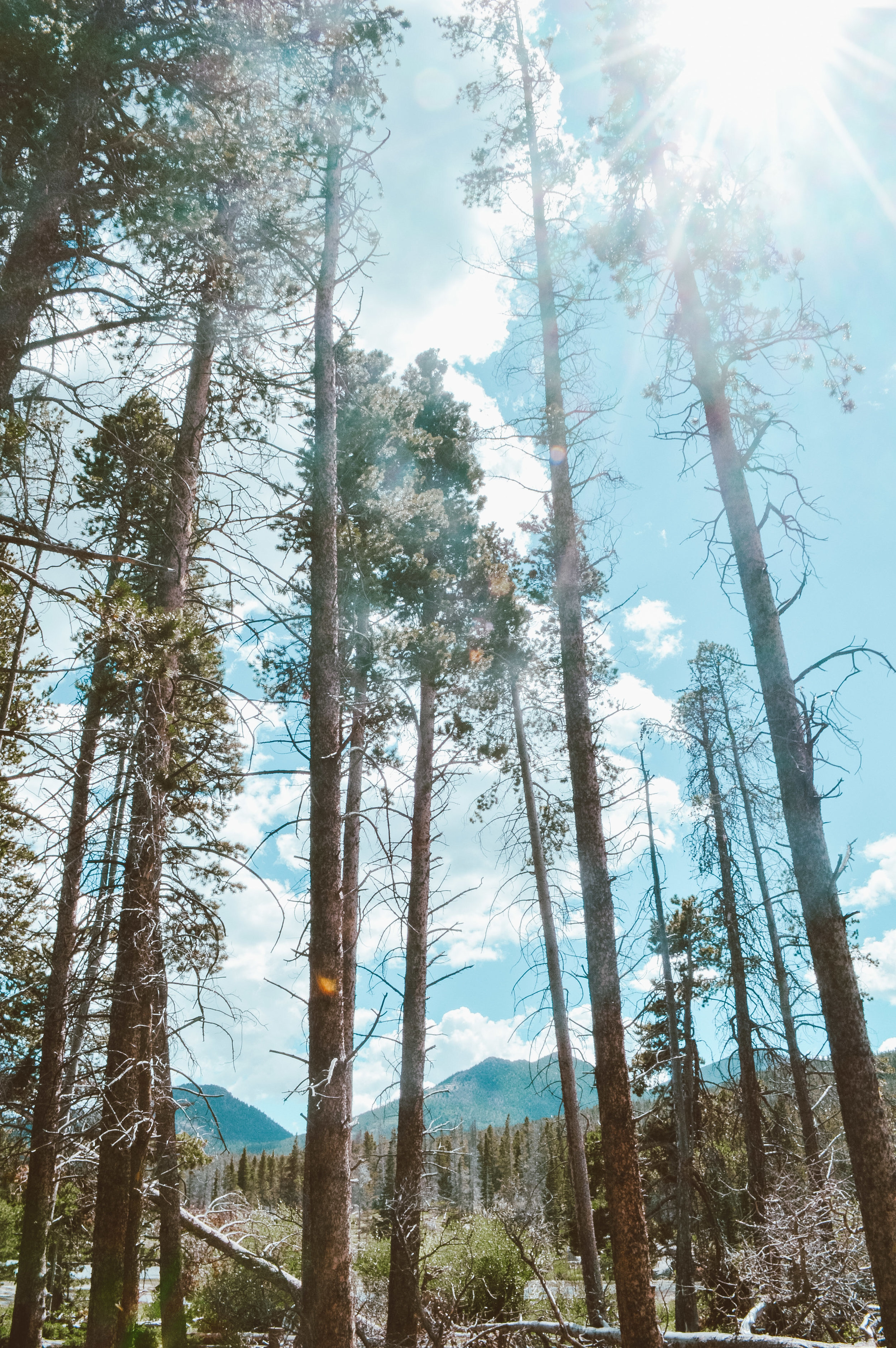 What To Expect From Rocky Mountain National Park | SaltWaterVibes