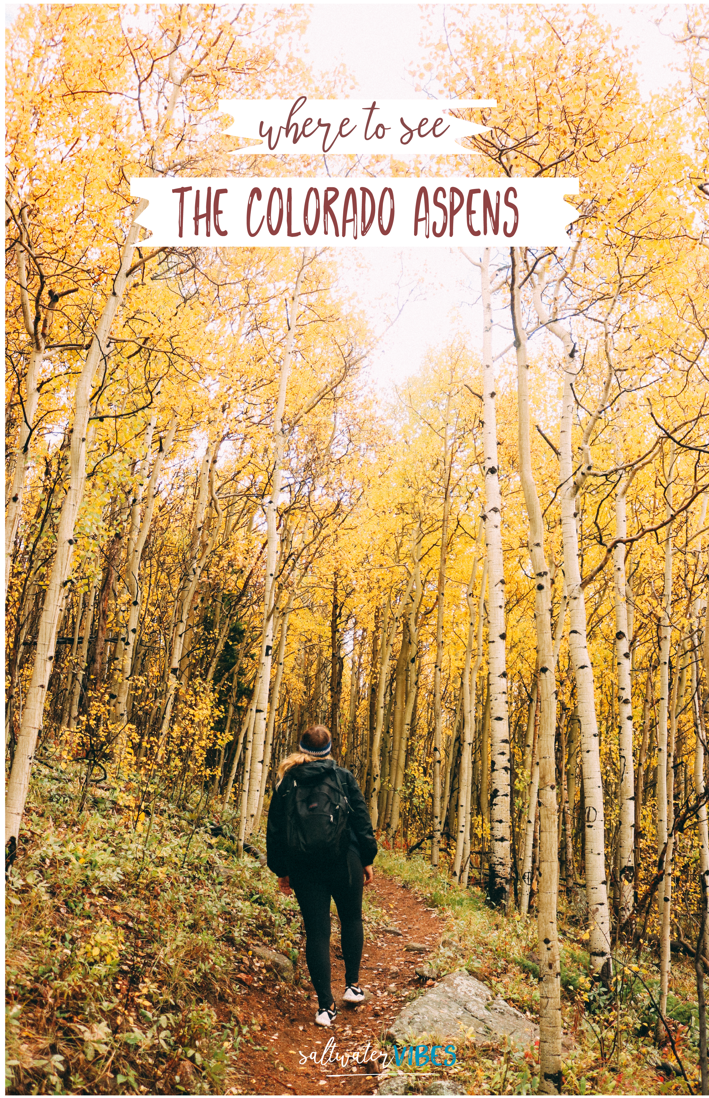 Where To See Golden Aspens In Colorado | SaltWaterVibes