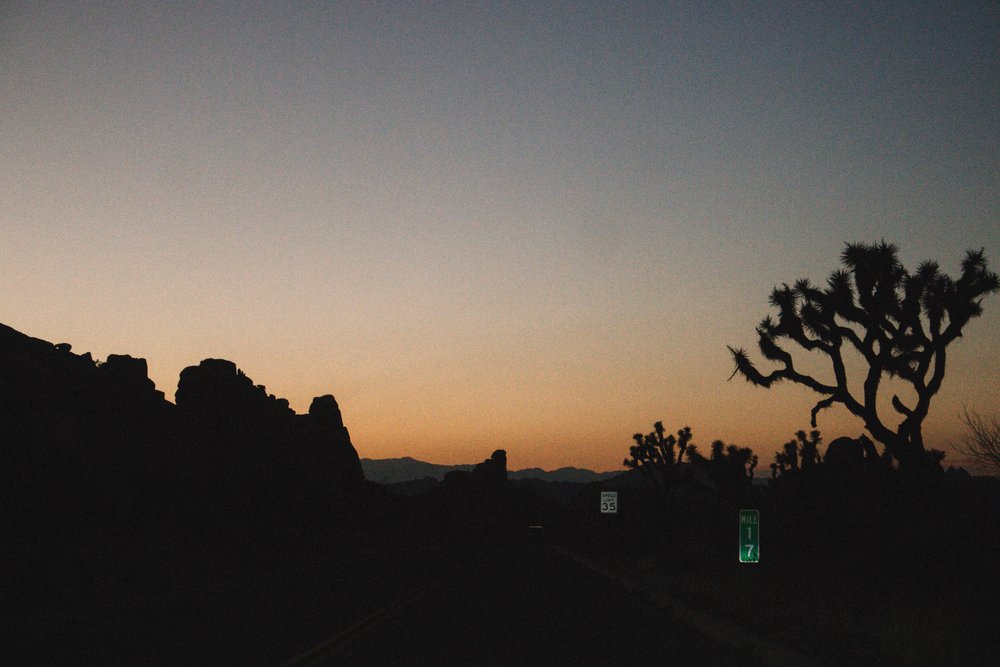 Joshua Tree National Park | SaltWaterVibes