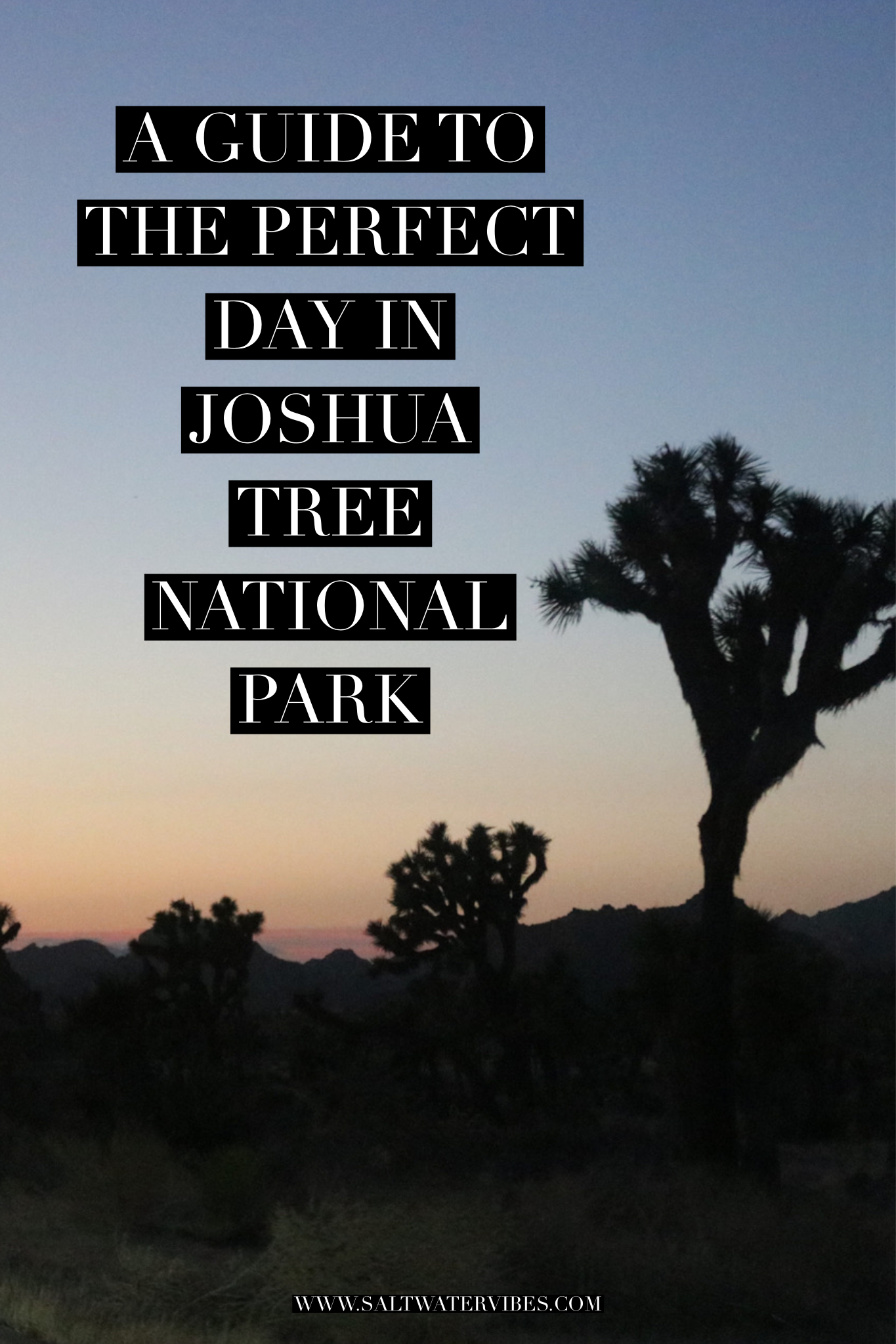 Joshua Tree National Park | SaltWaterVibes