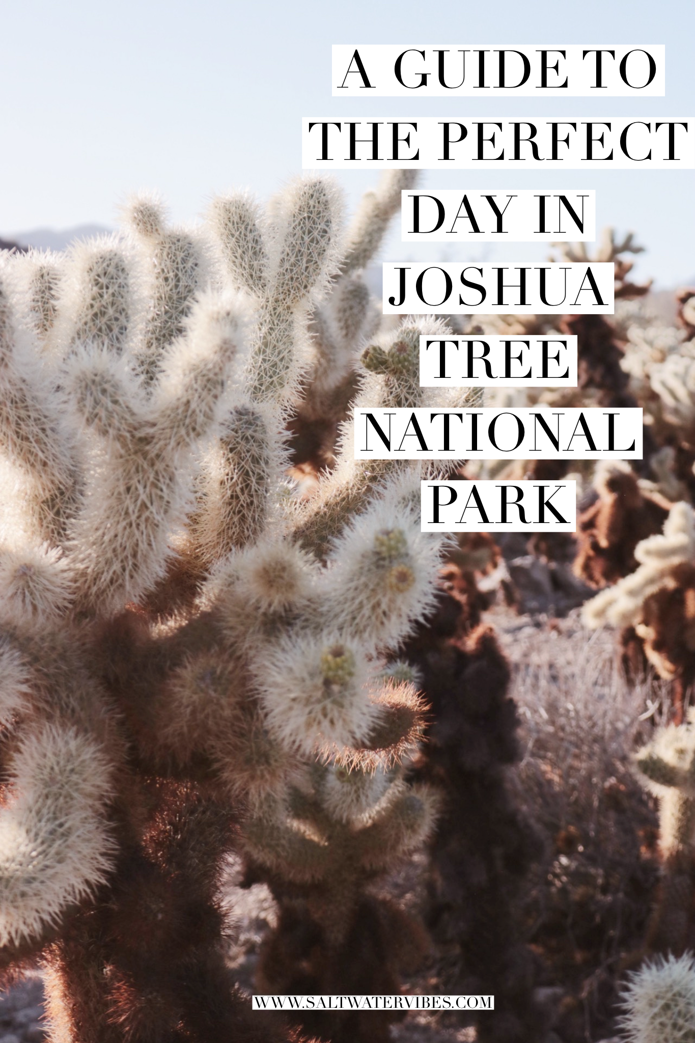 Joshua Tree National Park | SaltWaterVibes