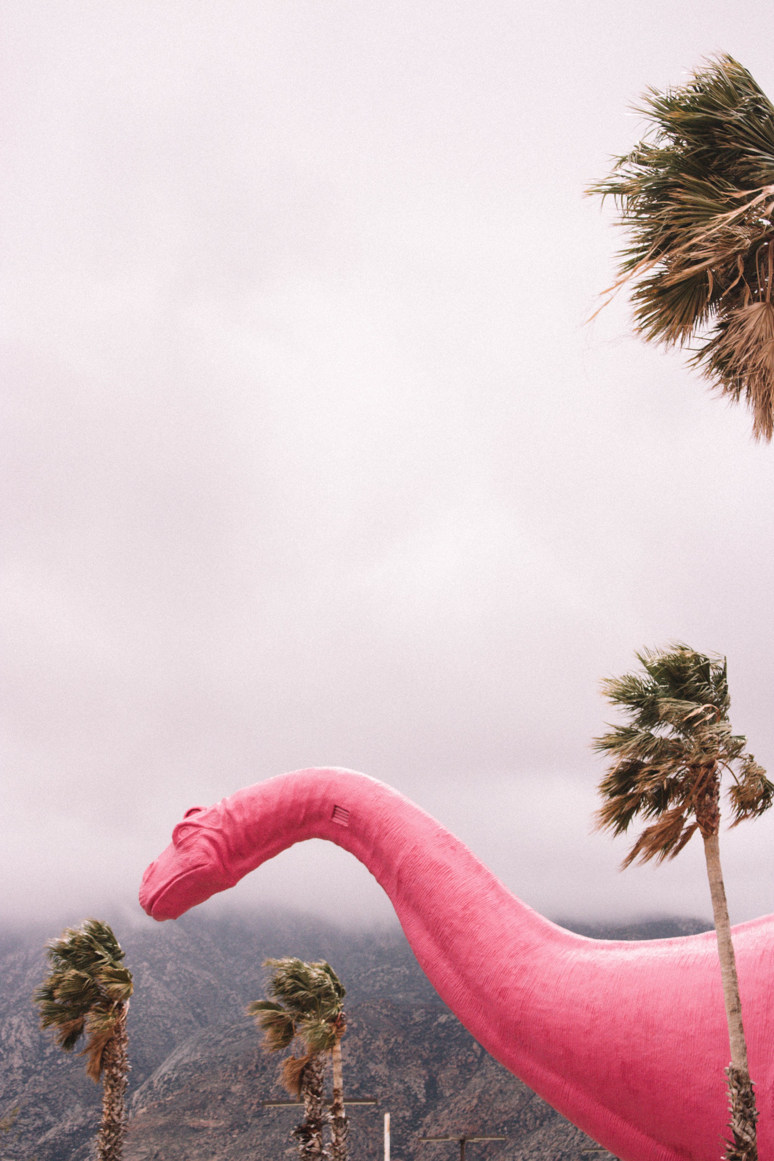 Ten Things to Do In Palm Springs California | SaltWaterVibes