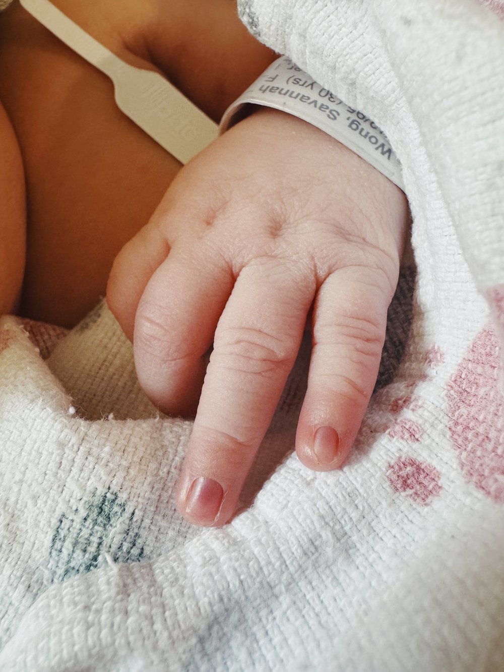 2D08CEFD-639D-4BCB-AC90-C9FBD0B7D02F 2.JPG