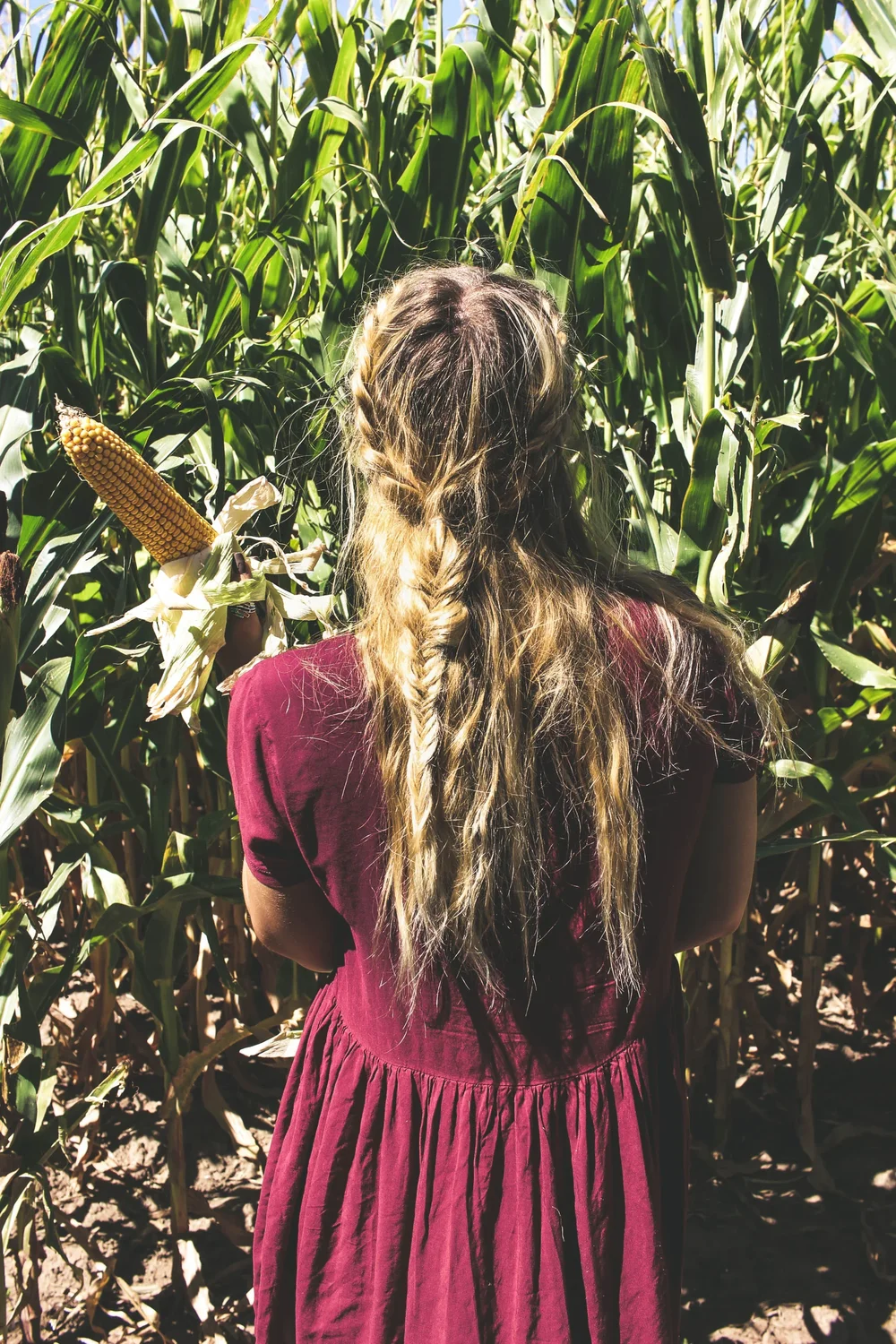 Chatfield+Farms+Corn+Maze+++SaltWaterVibes (2).webp