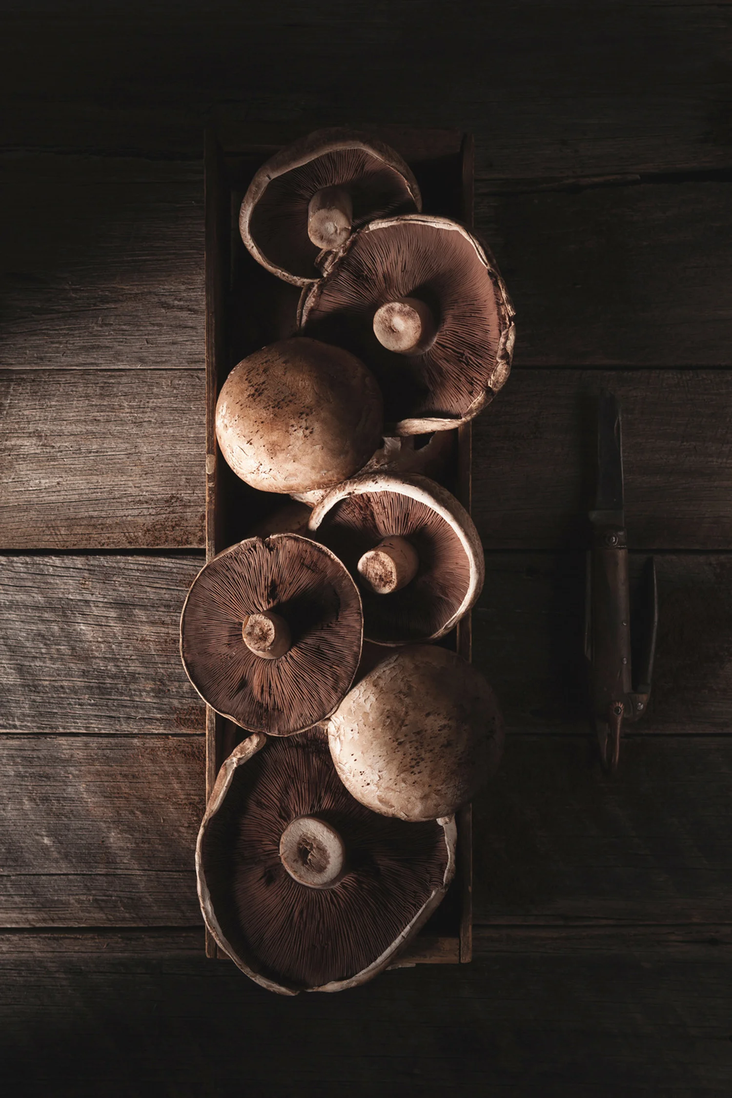 bri-hammond-photography-mushroom-food-ingredient.jpg