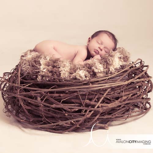 Newborn photography – baby resting in nest