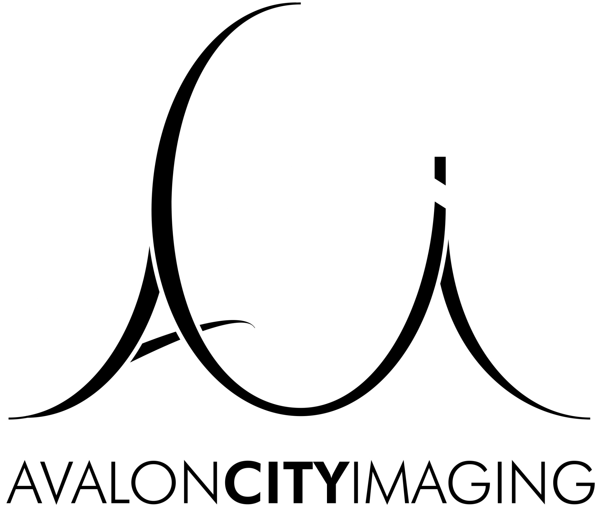 Logo_white copy copy.jpg