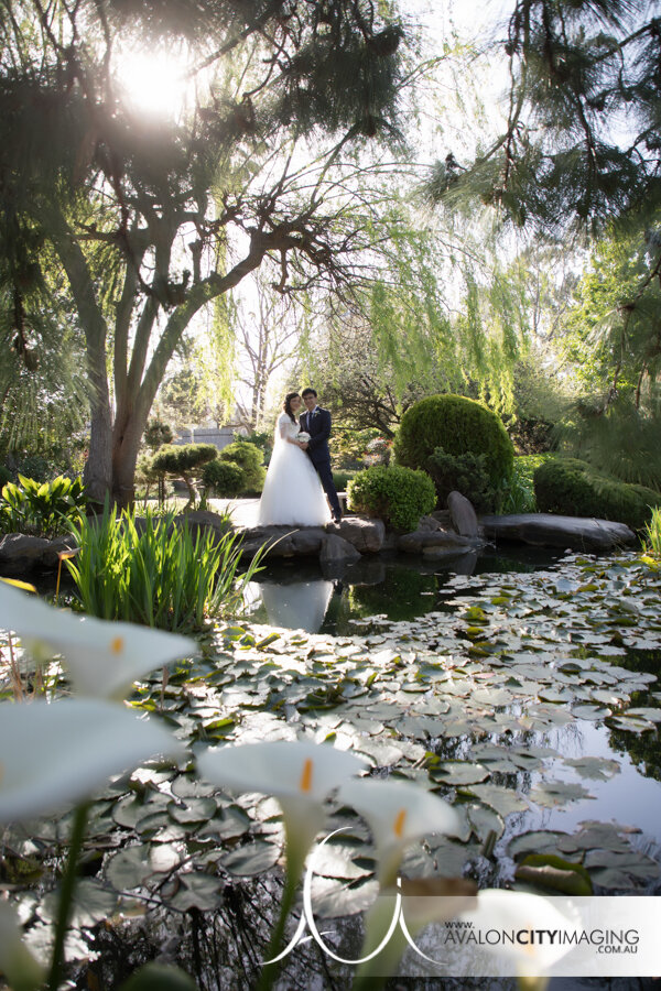 Wedding photography in Adelaide Himeji garden