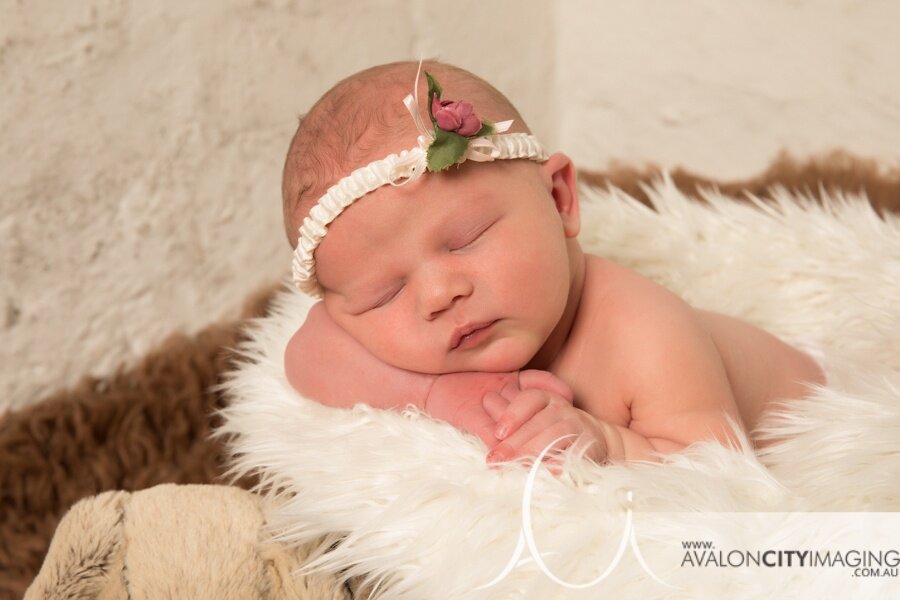 Adelaide Newborn Photography - Newborn baby girl sleeping in basket 