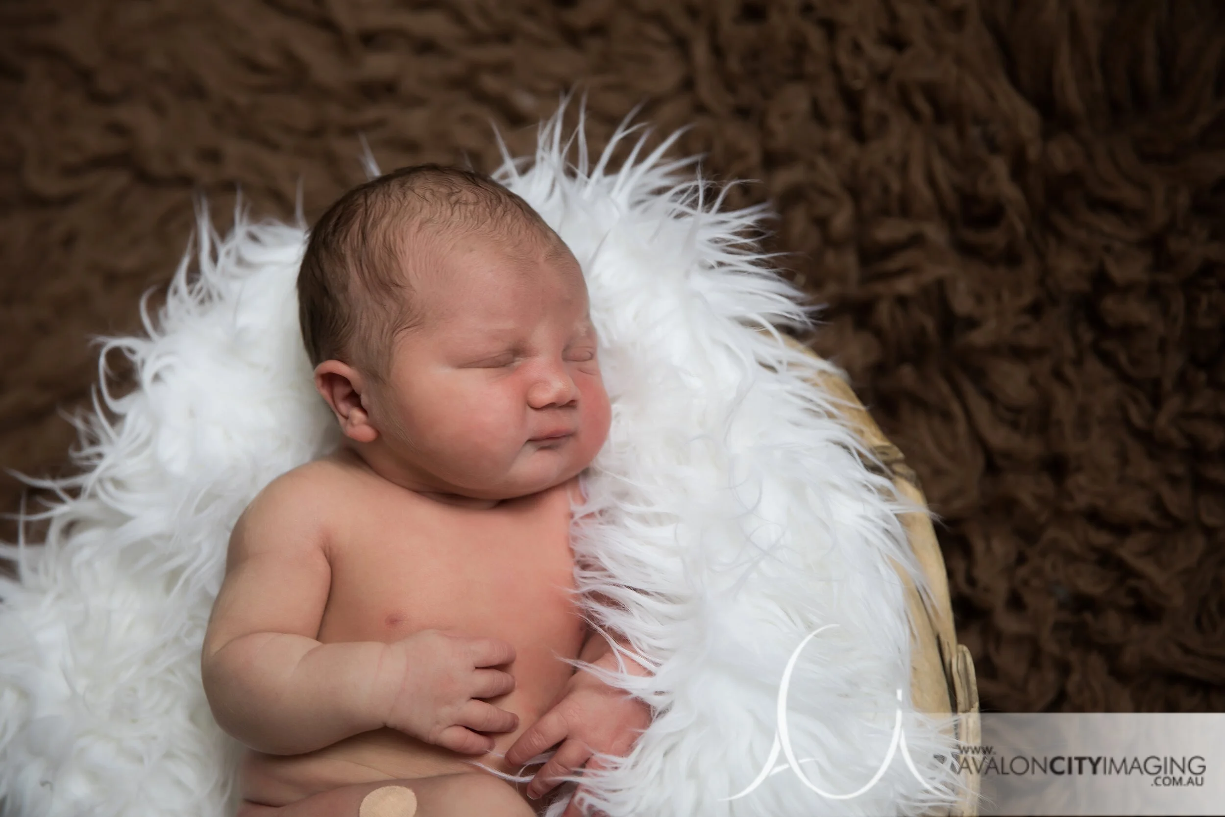 Adelaide Newborn Photography - Sleeping newborn in basket 