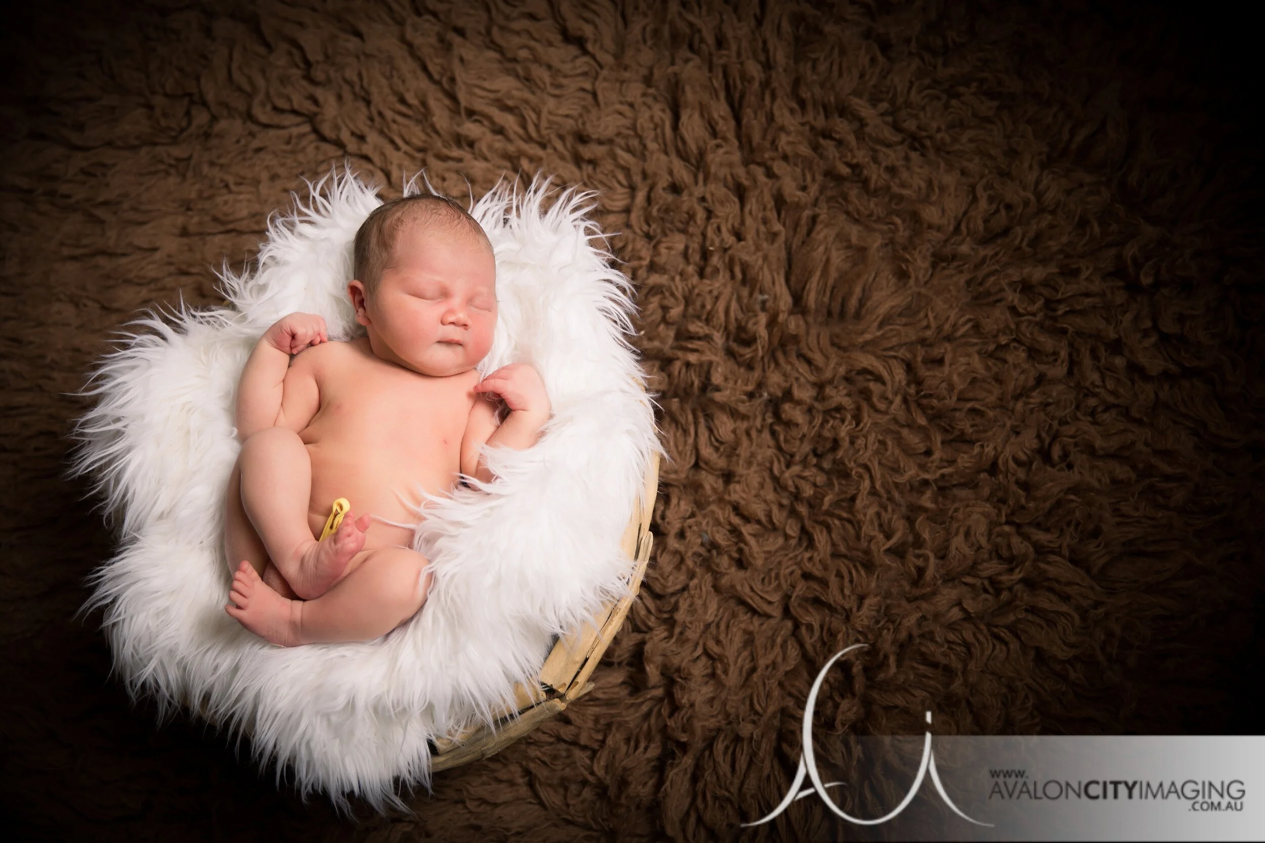 Newborn Photography - Sleeping baby in basket studio 