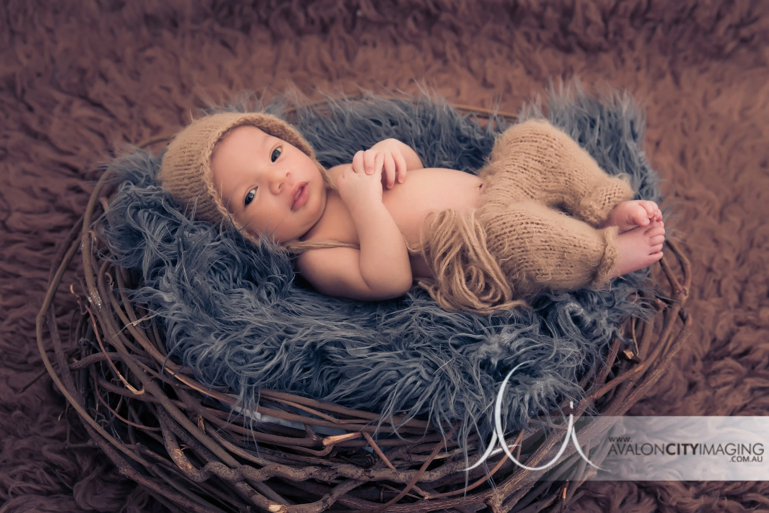 Adelaide Newborn Photography - Newborn baby boy in basket studio photography