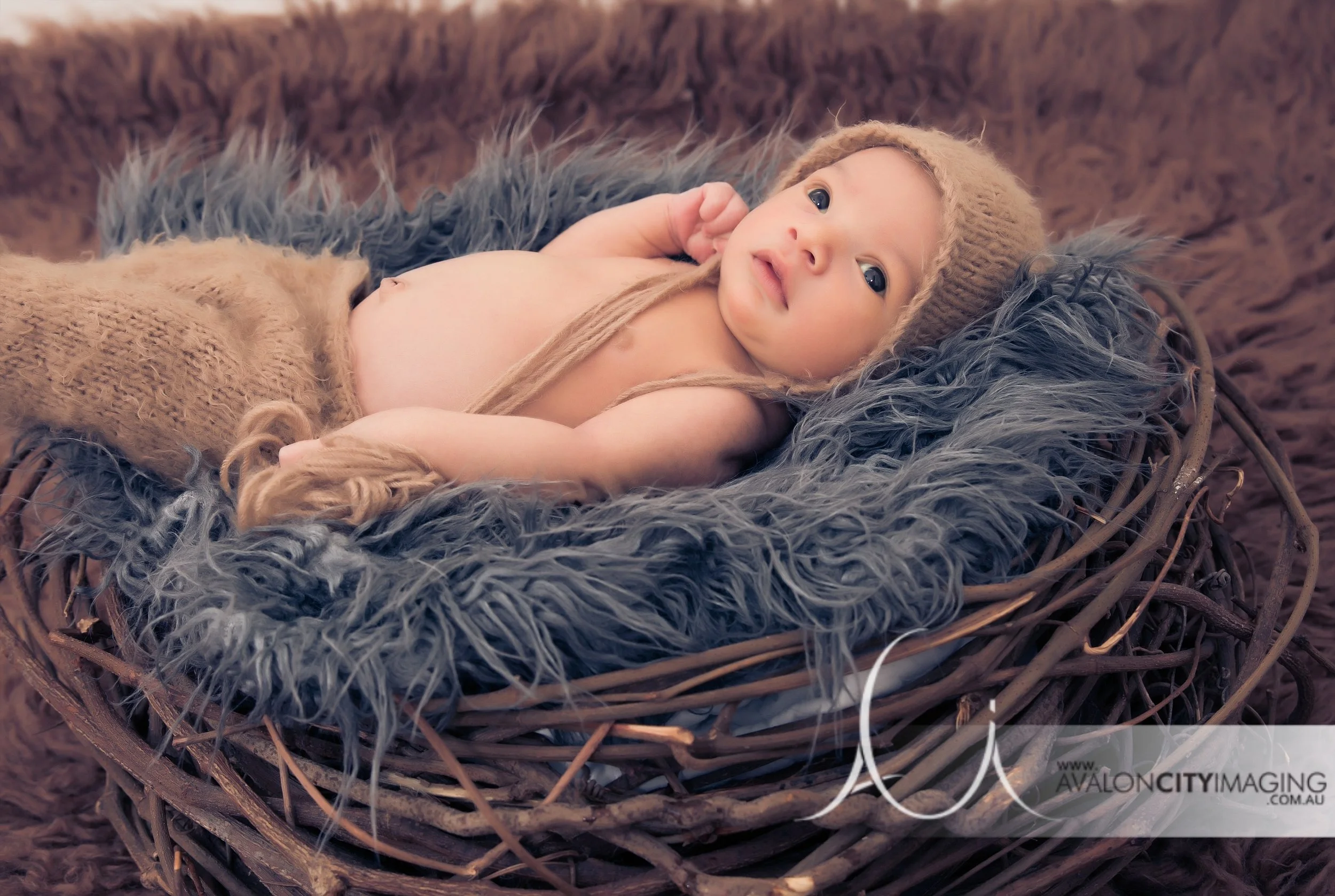 Adelaide Newborn Photographer - Newborn baby boy