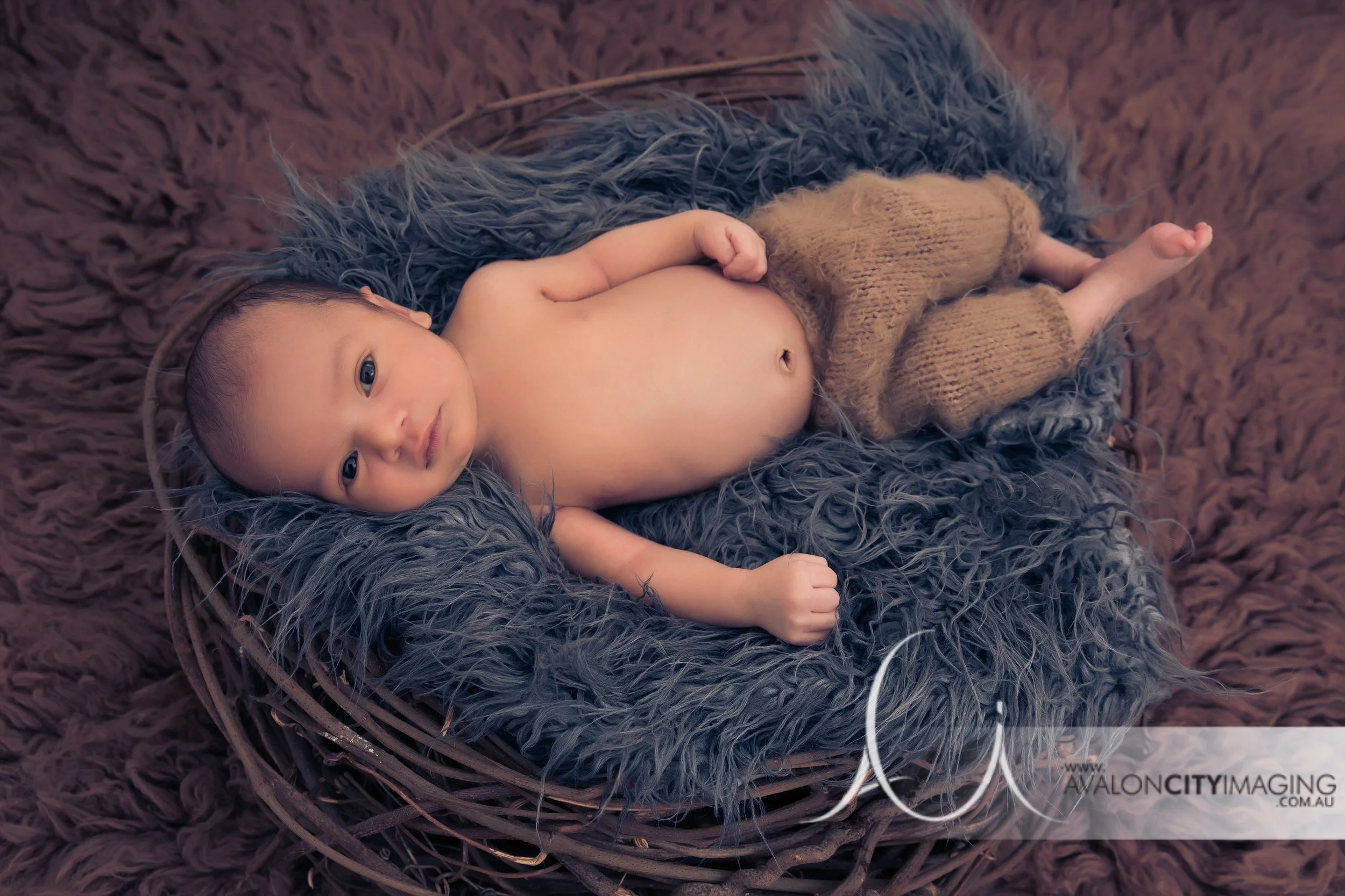 Adelaide Newborn Photography - Baby boy newborn blue fur and basket studio photo