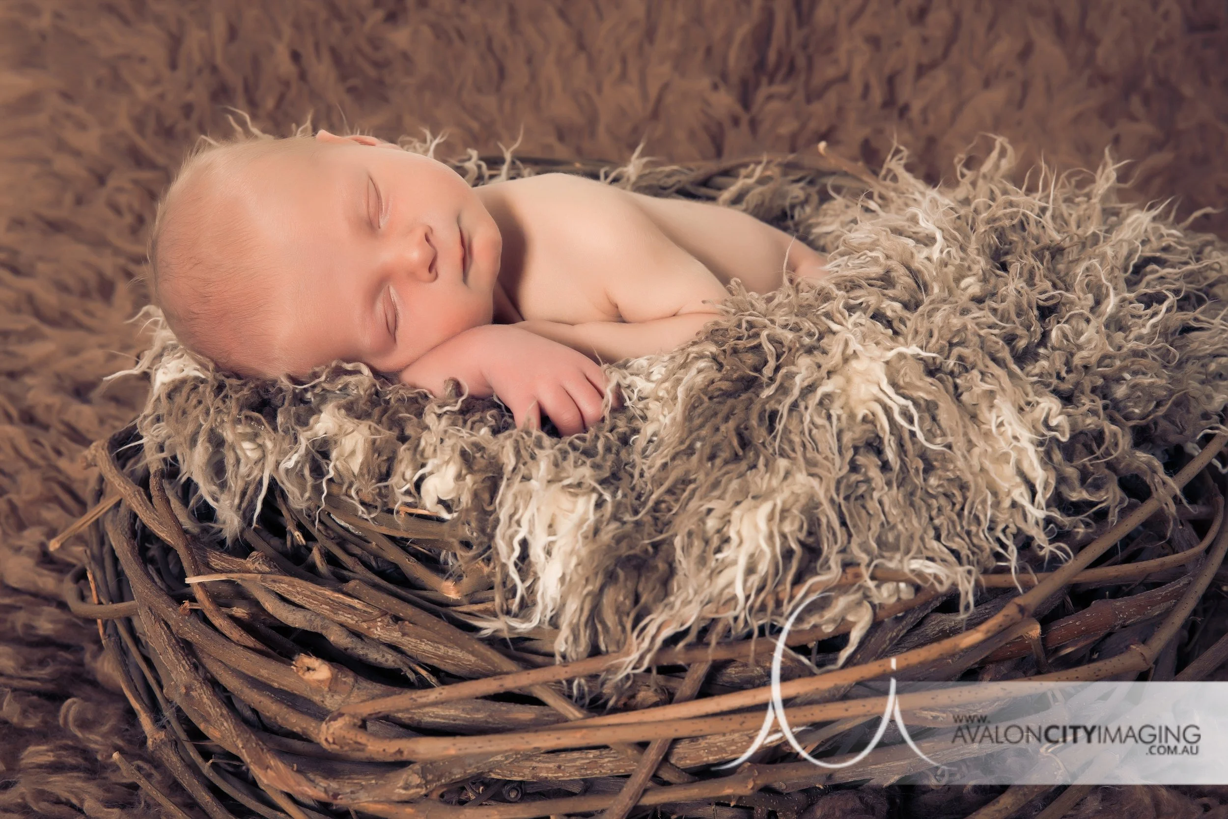 Adelaide Newborn Photography - Beautiful sleeping newborn baby