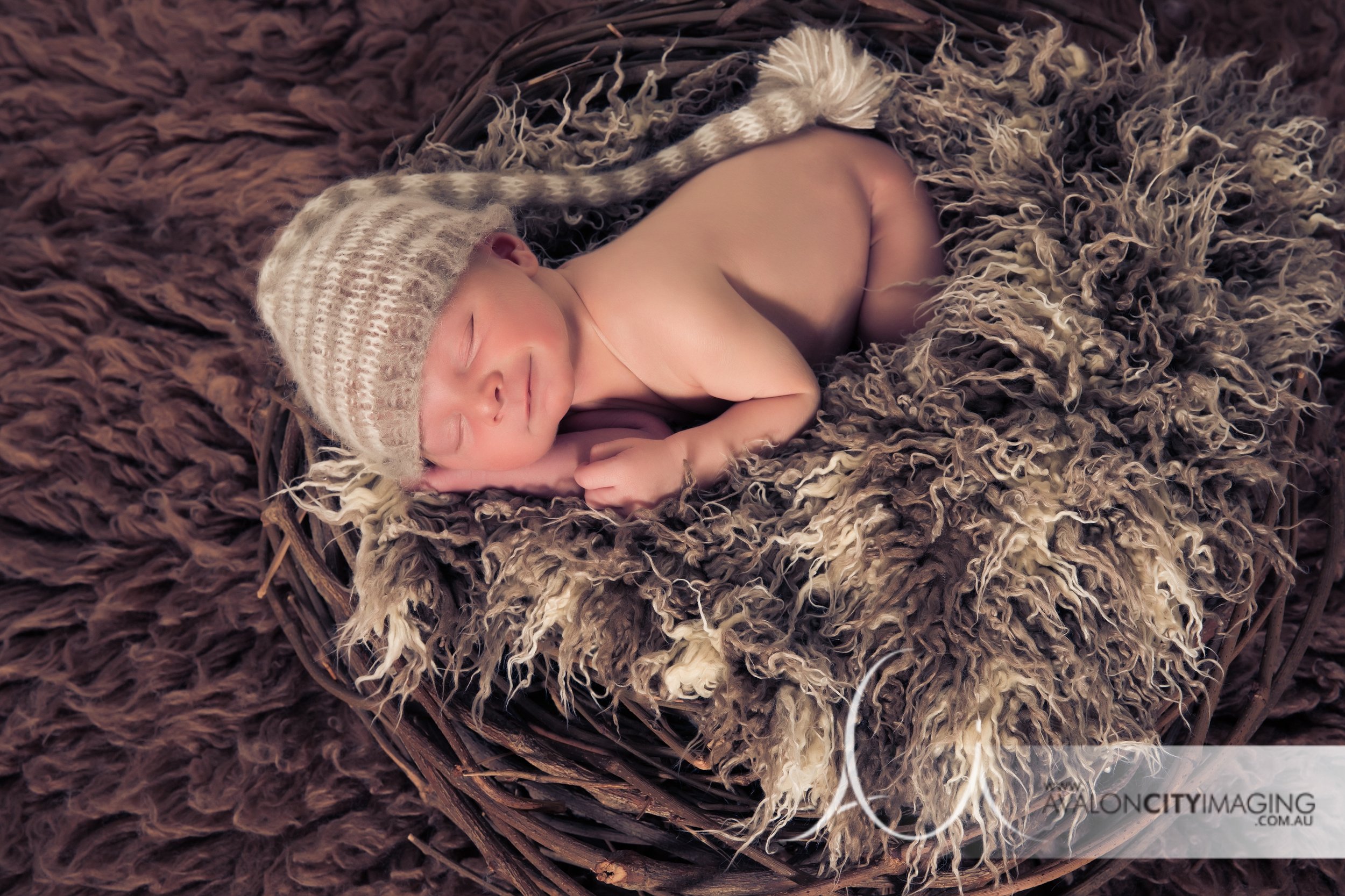 Adelaide Newborn Photography