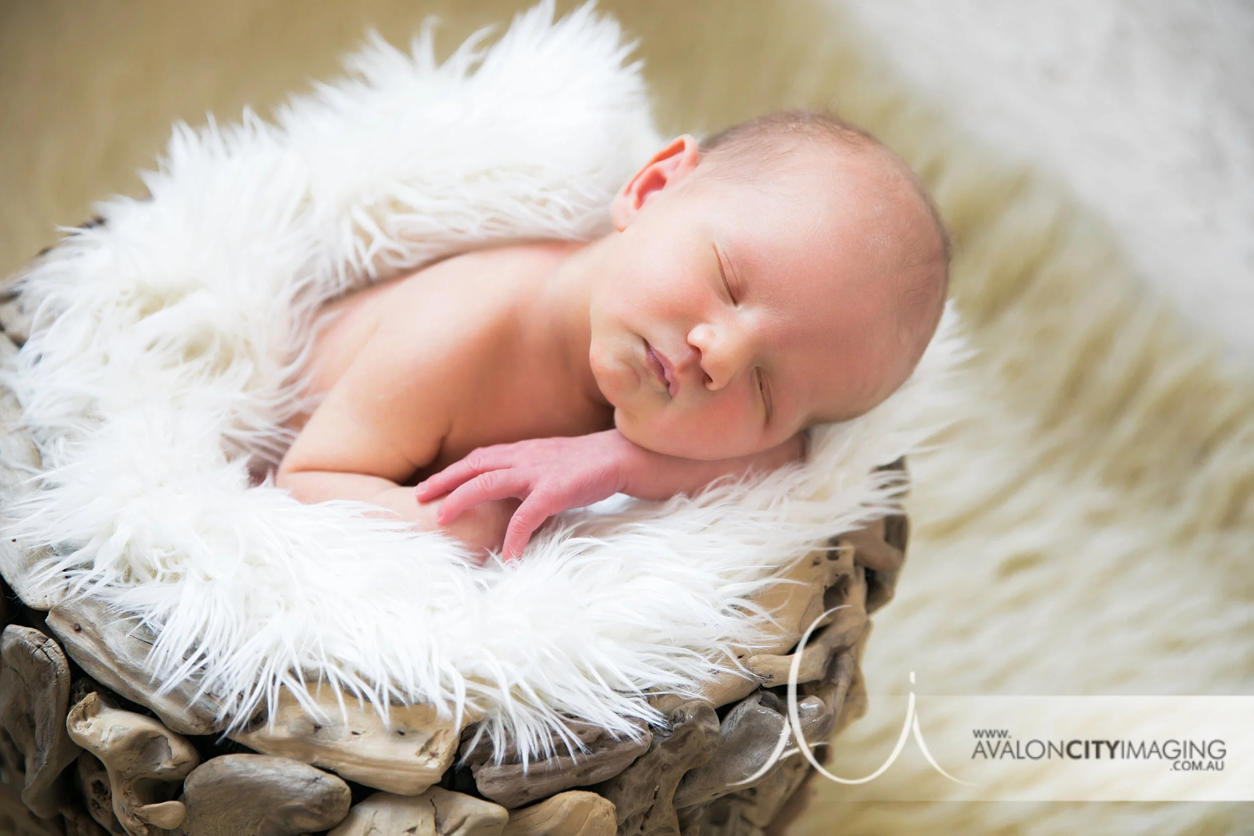 Adelaide Newborn Photography - Studio newborn photography