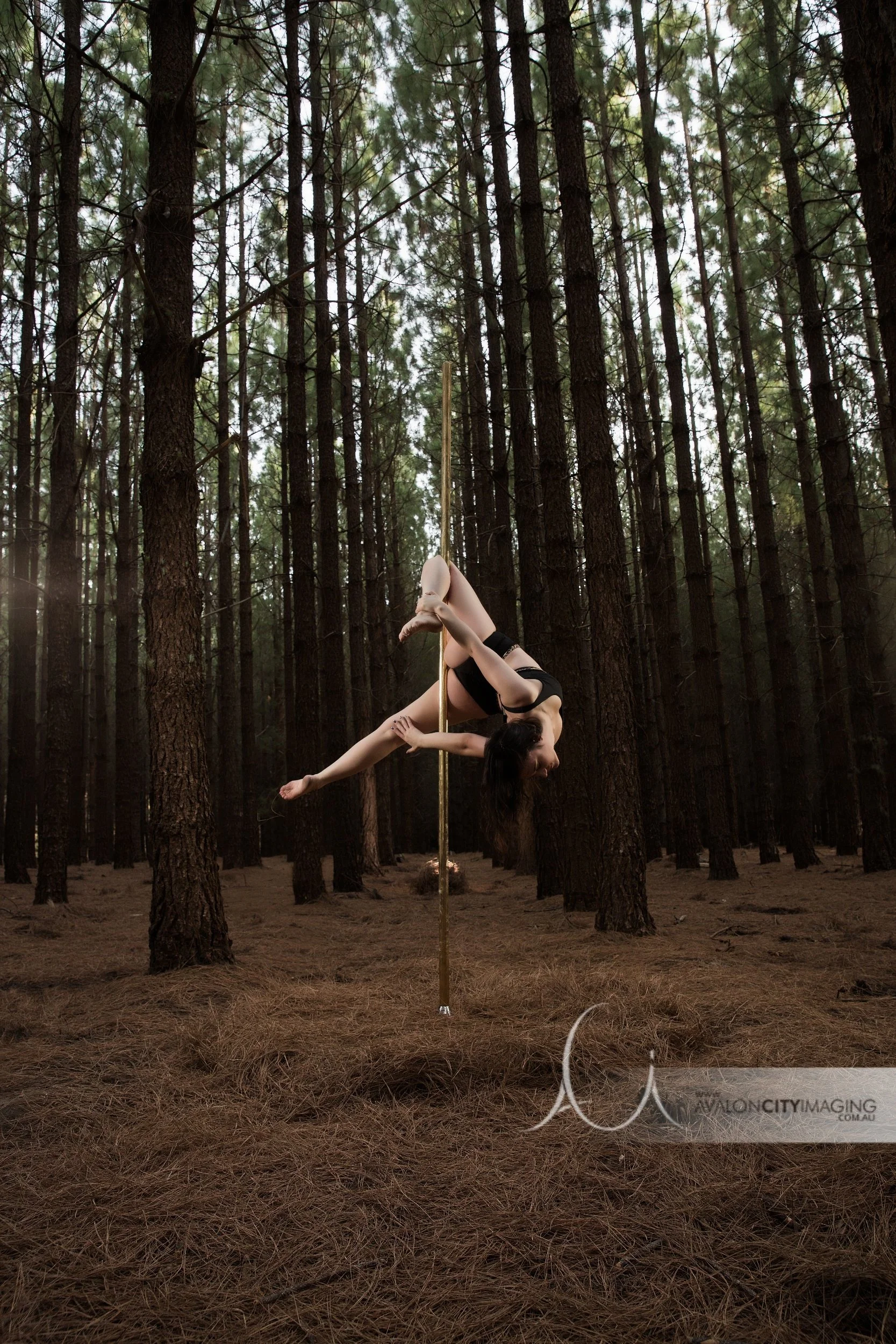 Pole photography- dynamic pose with hair movement.jpg