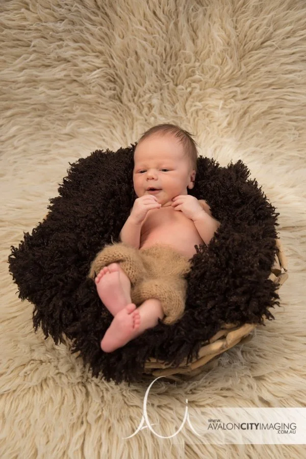 Adelaide Newborn Photography - Newborn baby with fur background