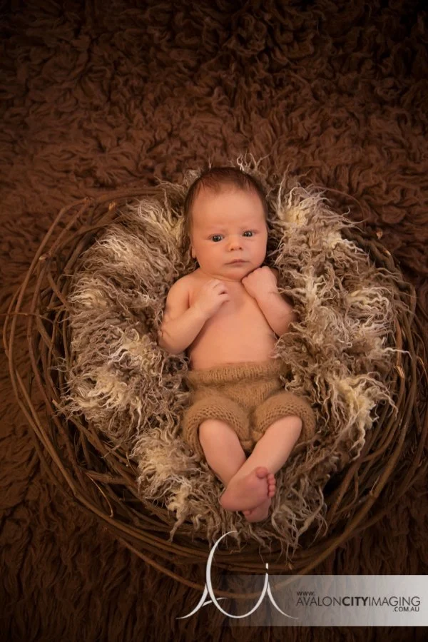 Adelaide Newborn Photography - Newborn baby natural tones