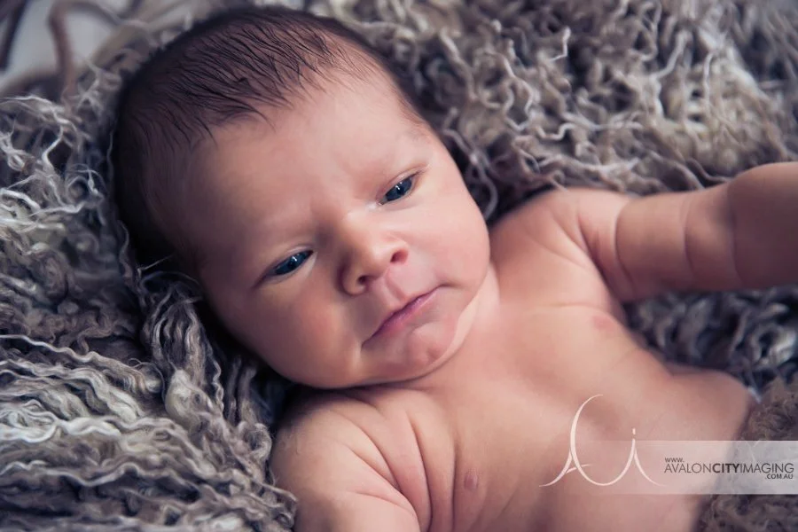 Adelaide Newborn Photography - Awake newborn studio photography